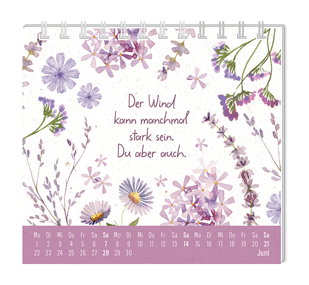 9783986361976_innenansicht_06.png