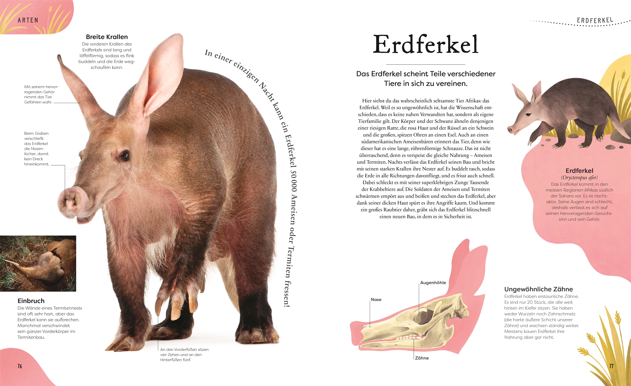 9783831049127_innenansicht_03 9783831049127_innenansicht_03.jpg