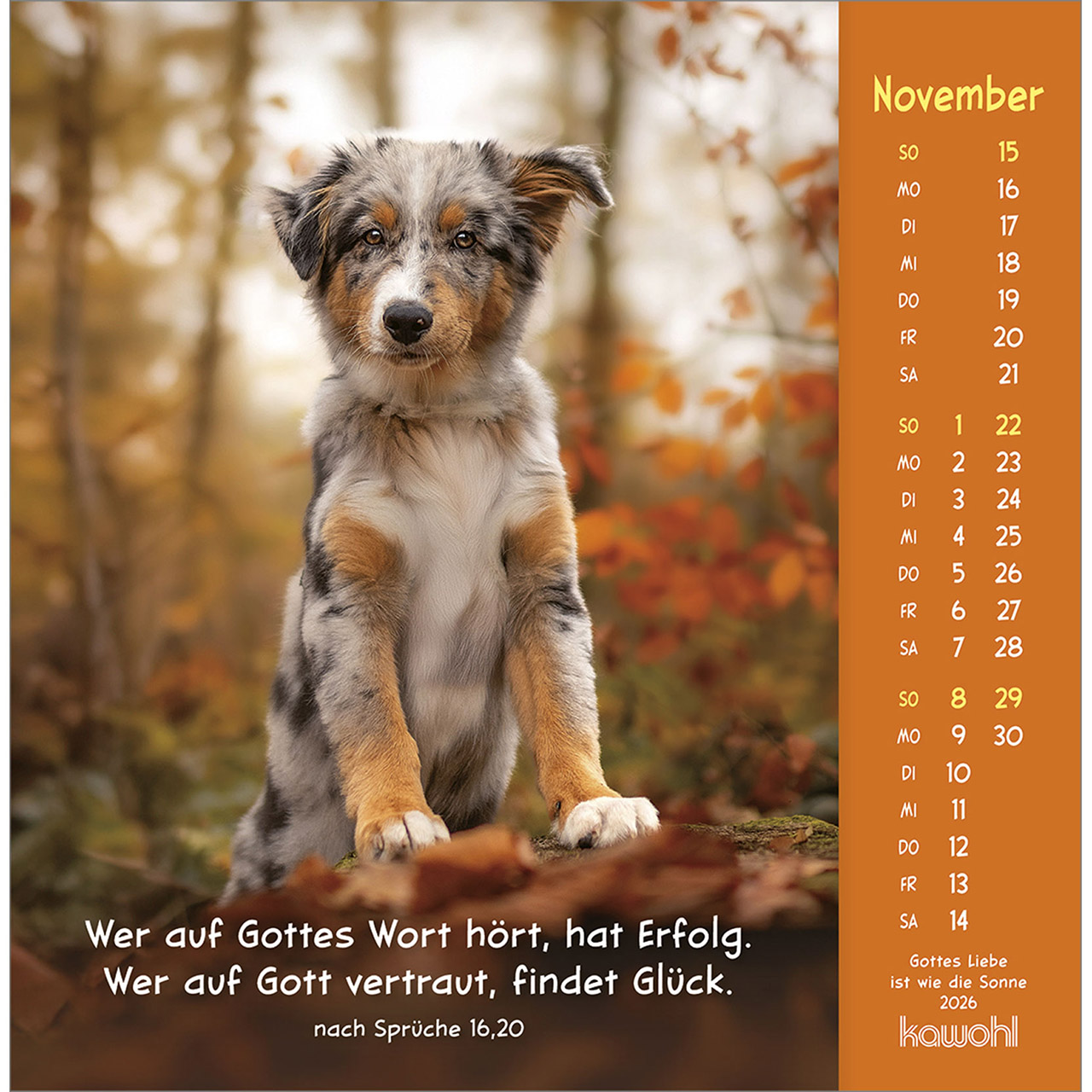 9783754848067_innenansicht_11.jpg