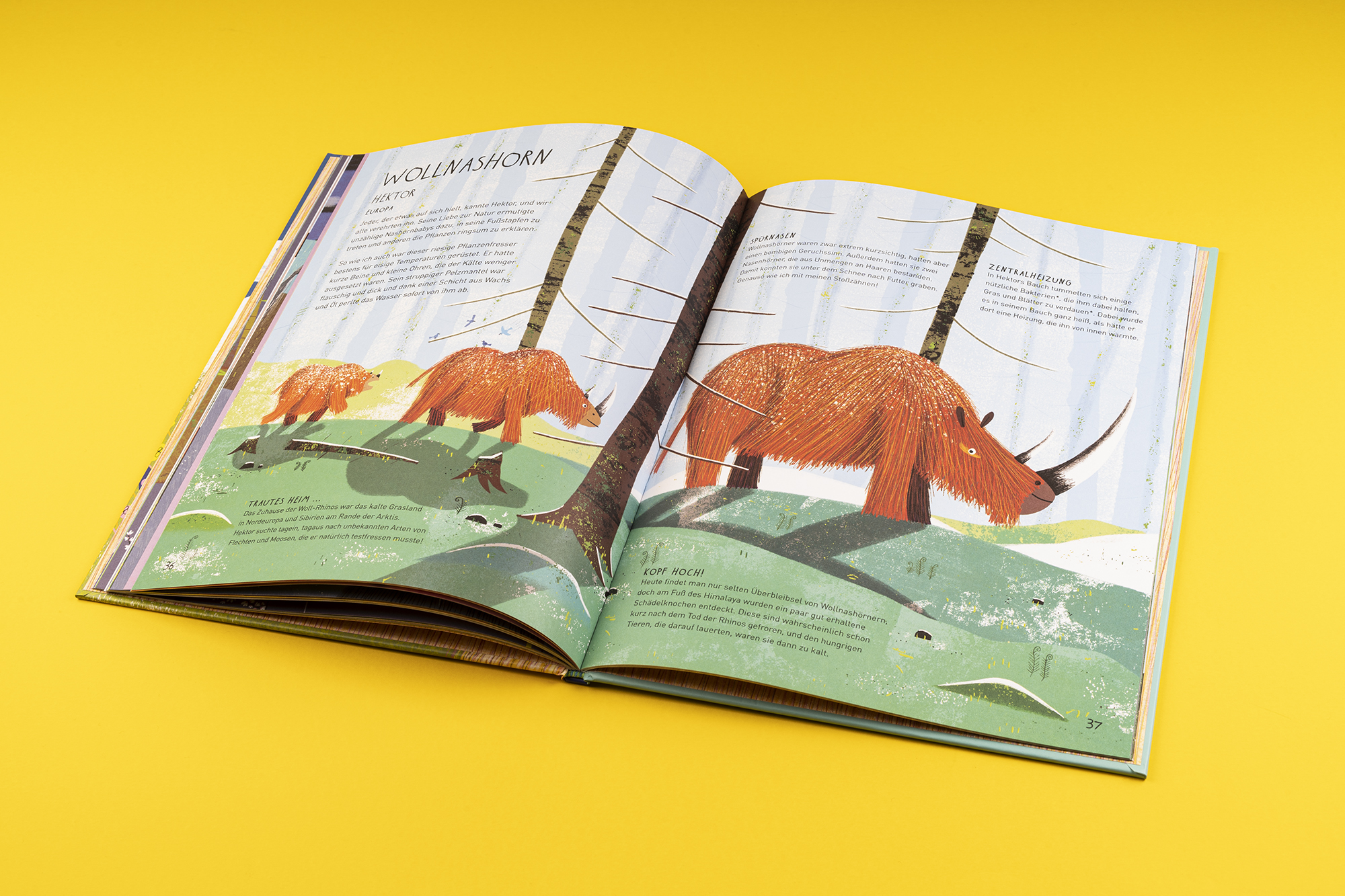 9783865024381_innenansicht_04 9783865024381_innenansicht_04.jpg