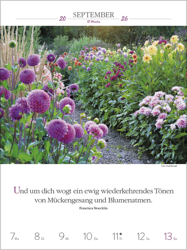 9783731887577_innenansicht_12.jpg