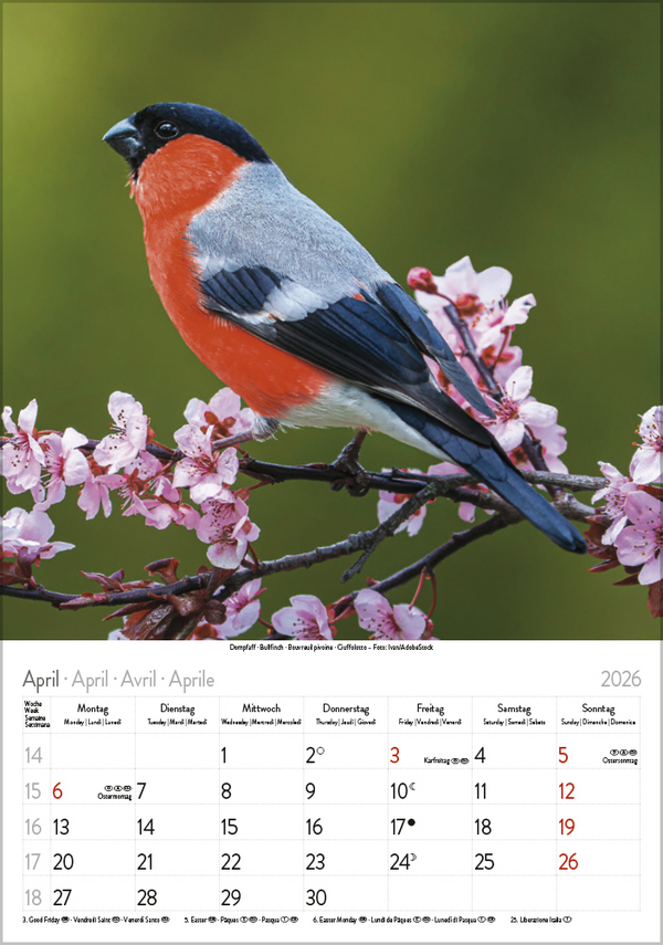 9783731883647_innenansicht_04 9783731883647_innenansicht_04.jpg