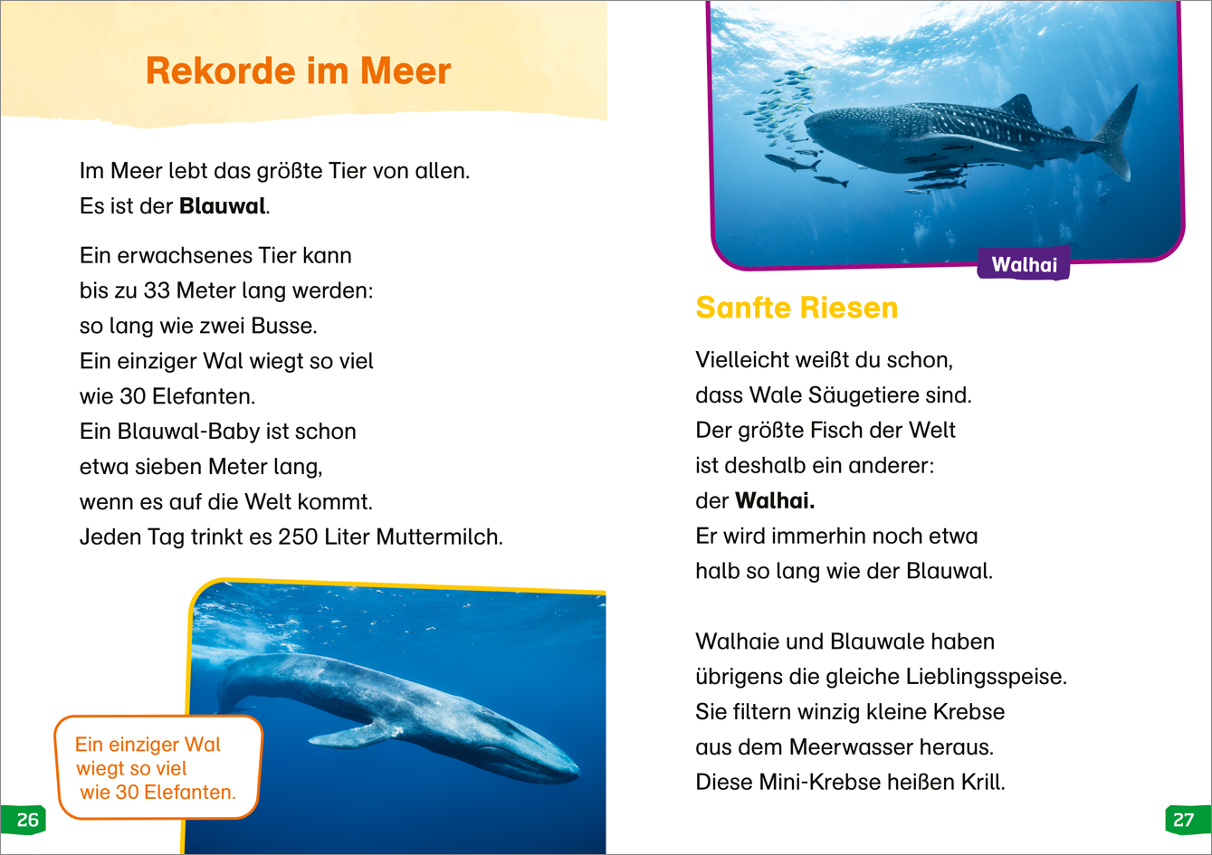 9783788677374_innenansicht_03.jpg