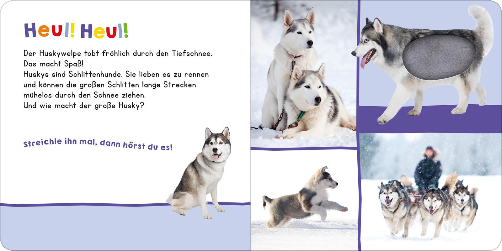 9783845865812_innenansicht_01.jpg