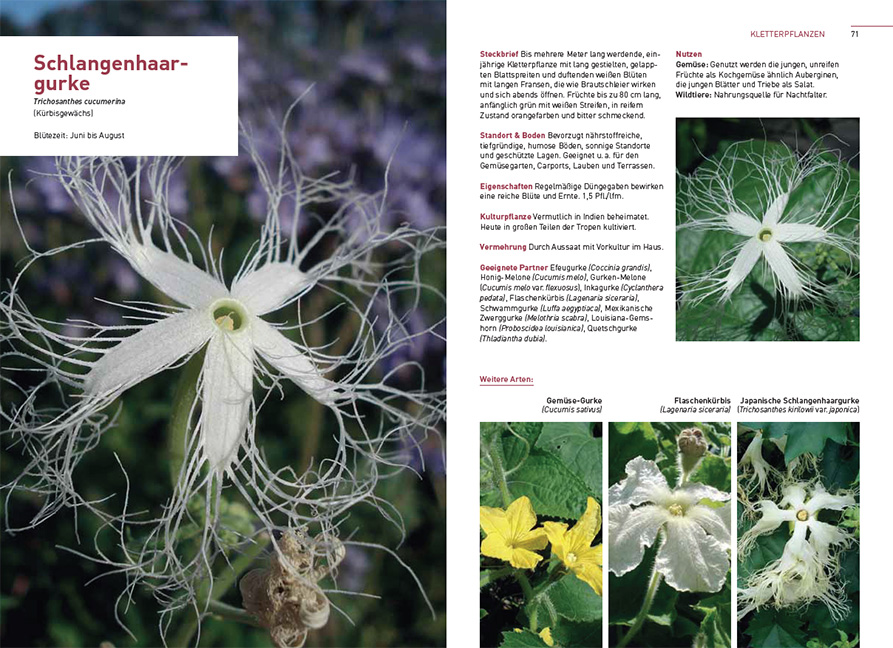 9783258083513_innenansicht_02 9783258083513_innenansicht_02.jpg