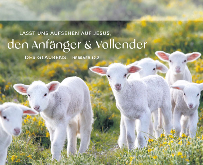 9783866037908_innenansicht_02.jpg