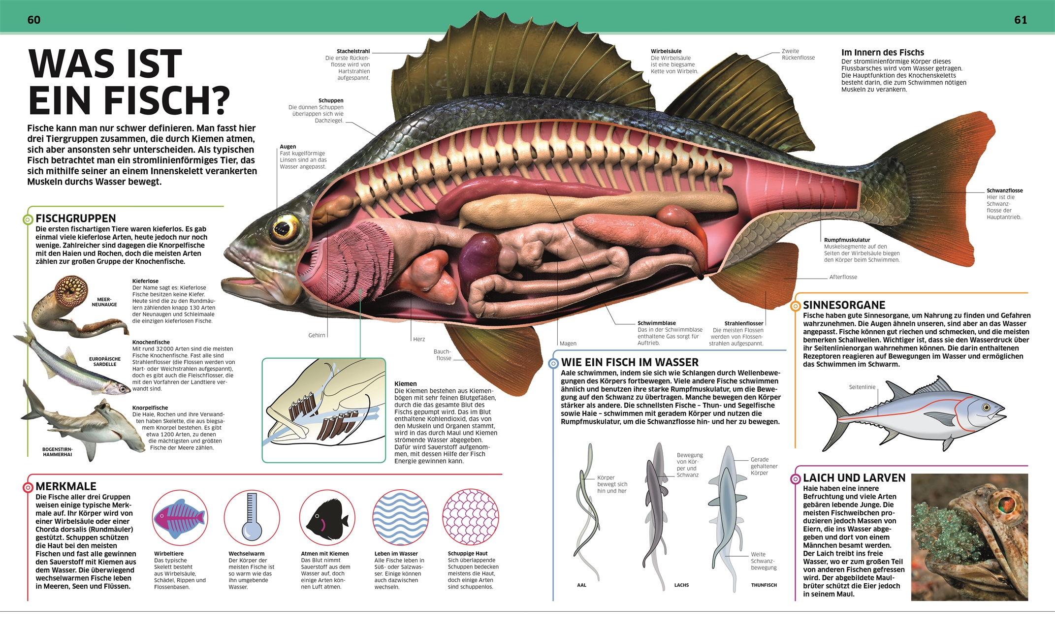9783831033409_innenansicht_03 9783831033409_innenansicht_03.jpg