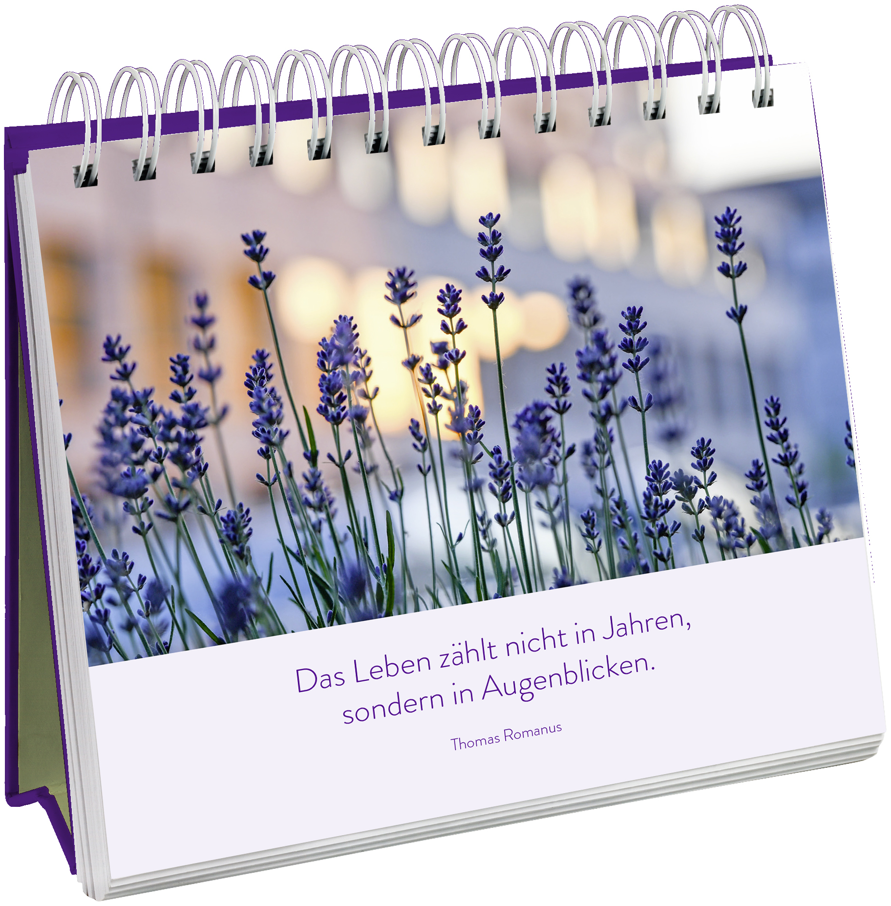 9783848522170_innenansicht_02.jpg