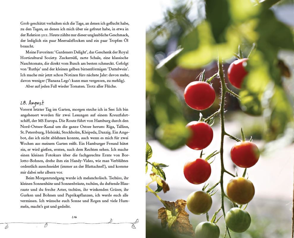 9783328600459_innenansicht_05 9783328600459_innenansicht_05.jpg