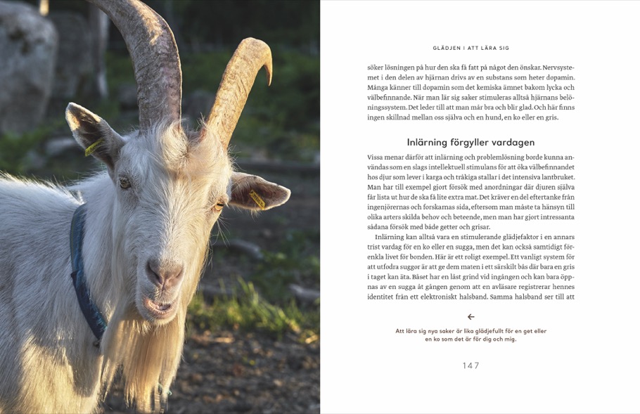 9783866907614_innenansicht_03 9783866907614_innenansicht_03.jpg