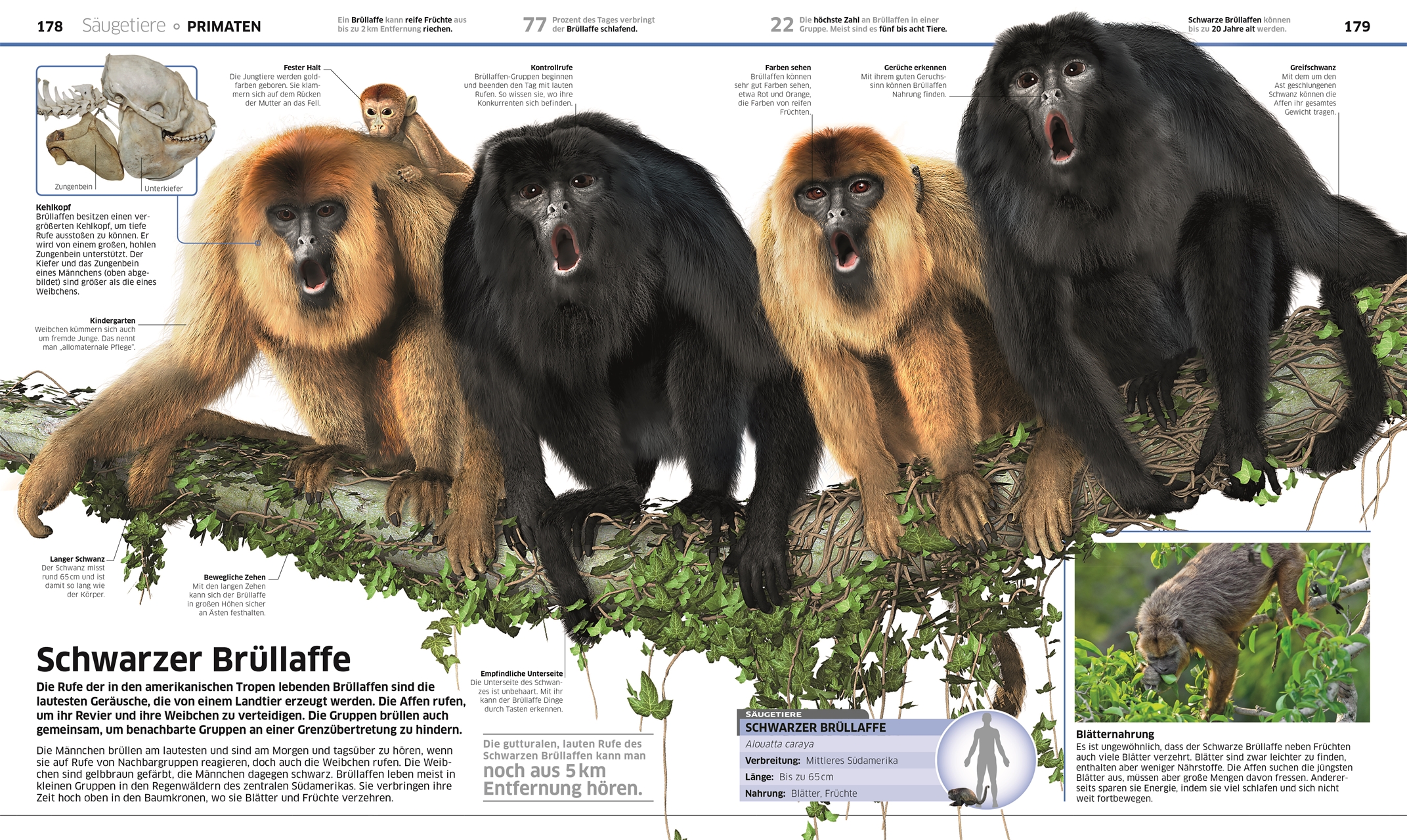 9783831033409_innenansicht_06 9783831033409_innenansicht_06.jpg