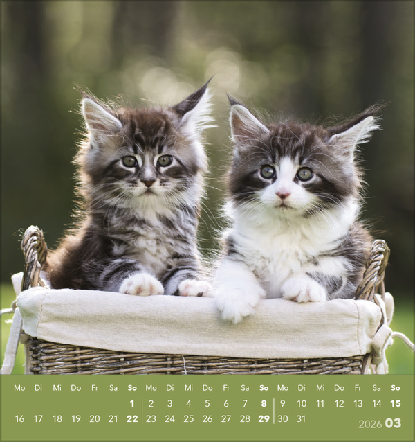 9783731884071_innenansicht_03 9783731884071_innenansicht_03.jpg