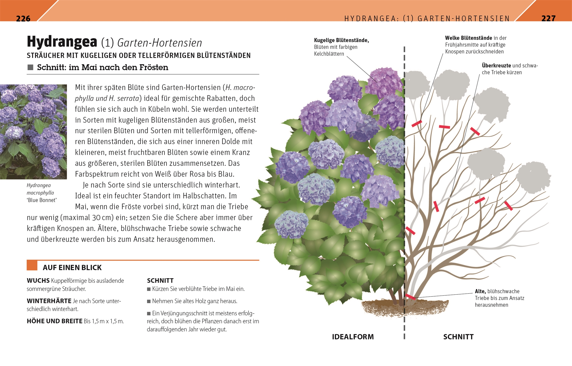 9783831042647_innenansicht_05.jpg