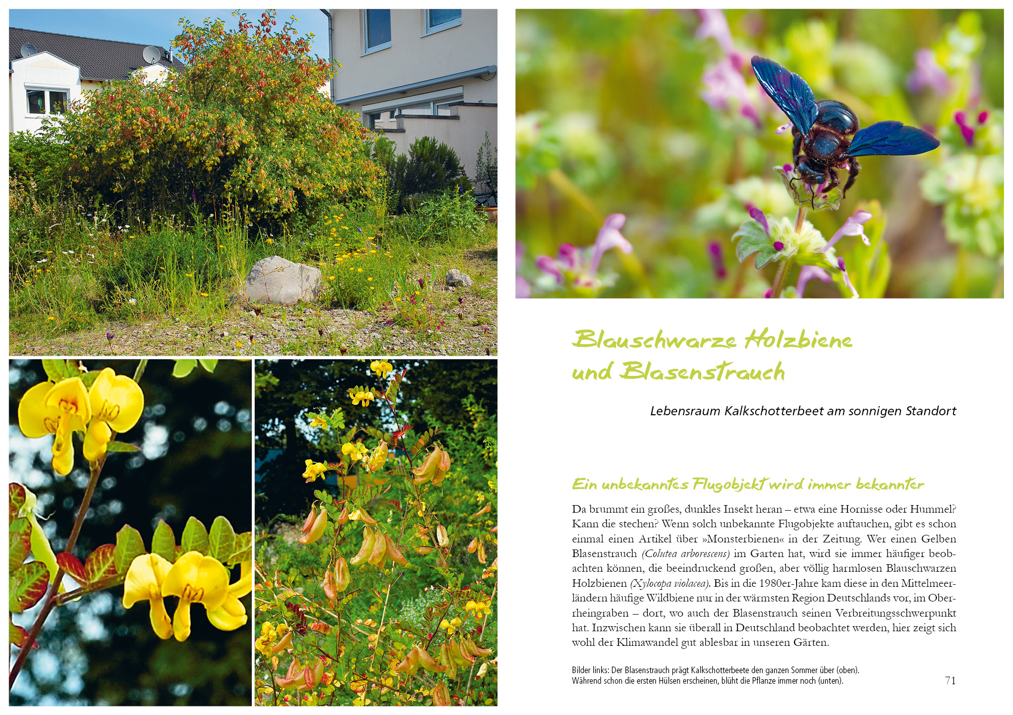 9783895663888_innenansicht_04 9783895663888_innenansicht_04.jpg