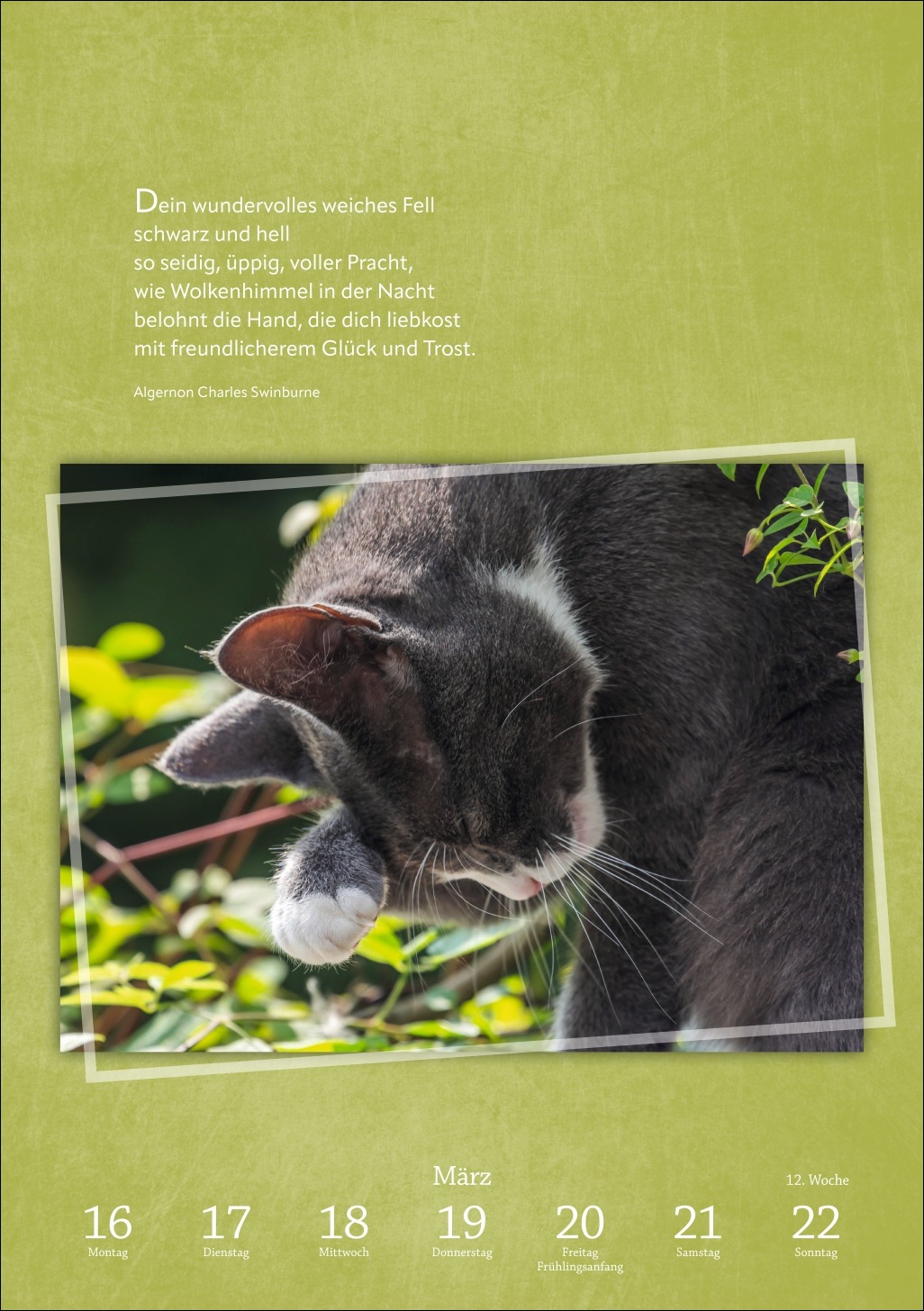 9783840036507_innenansicht_09 9783840036507_innenansicht_09.jpg