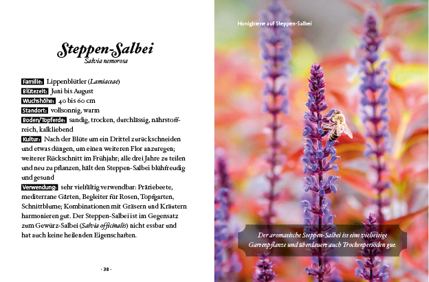 9783710402715_innenansicht_04.jpg 9783710402715_innenansicht_04.jpg