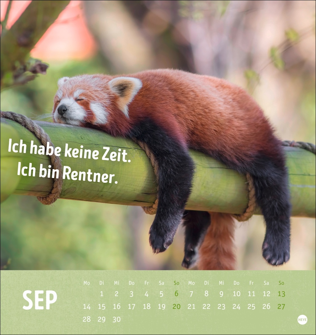 9783756413522_innenansicht_09.jpg