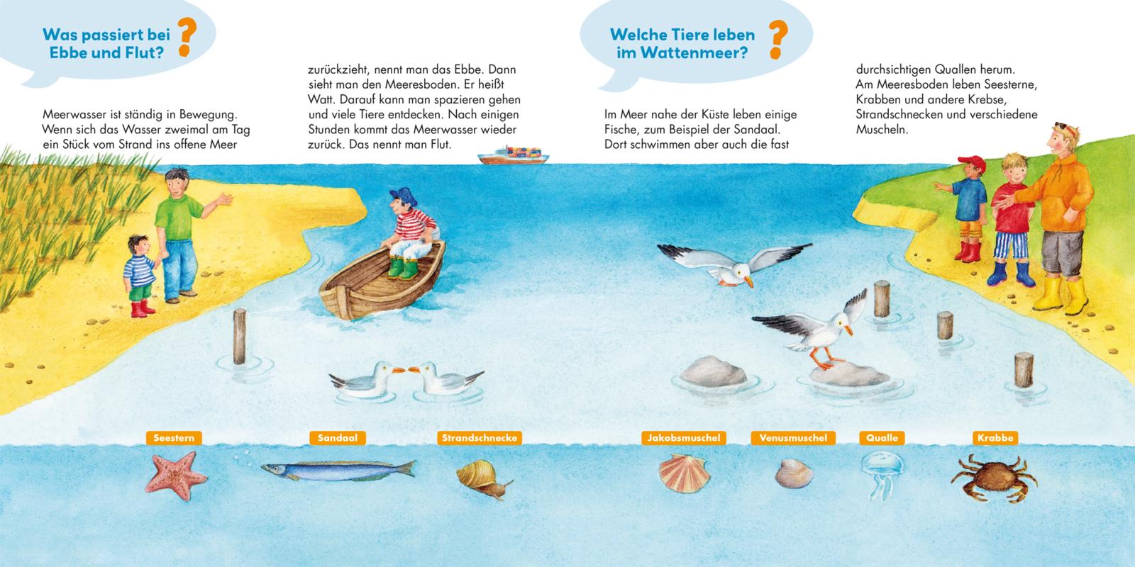 9783551255303_innenansicht_04.jpg