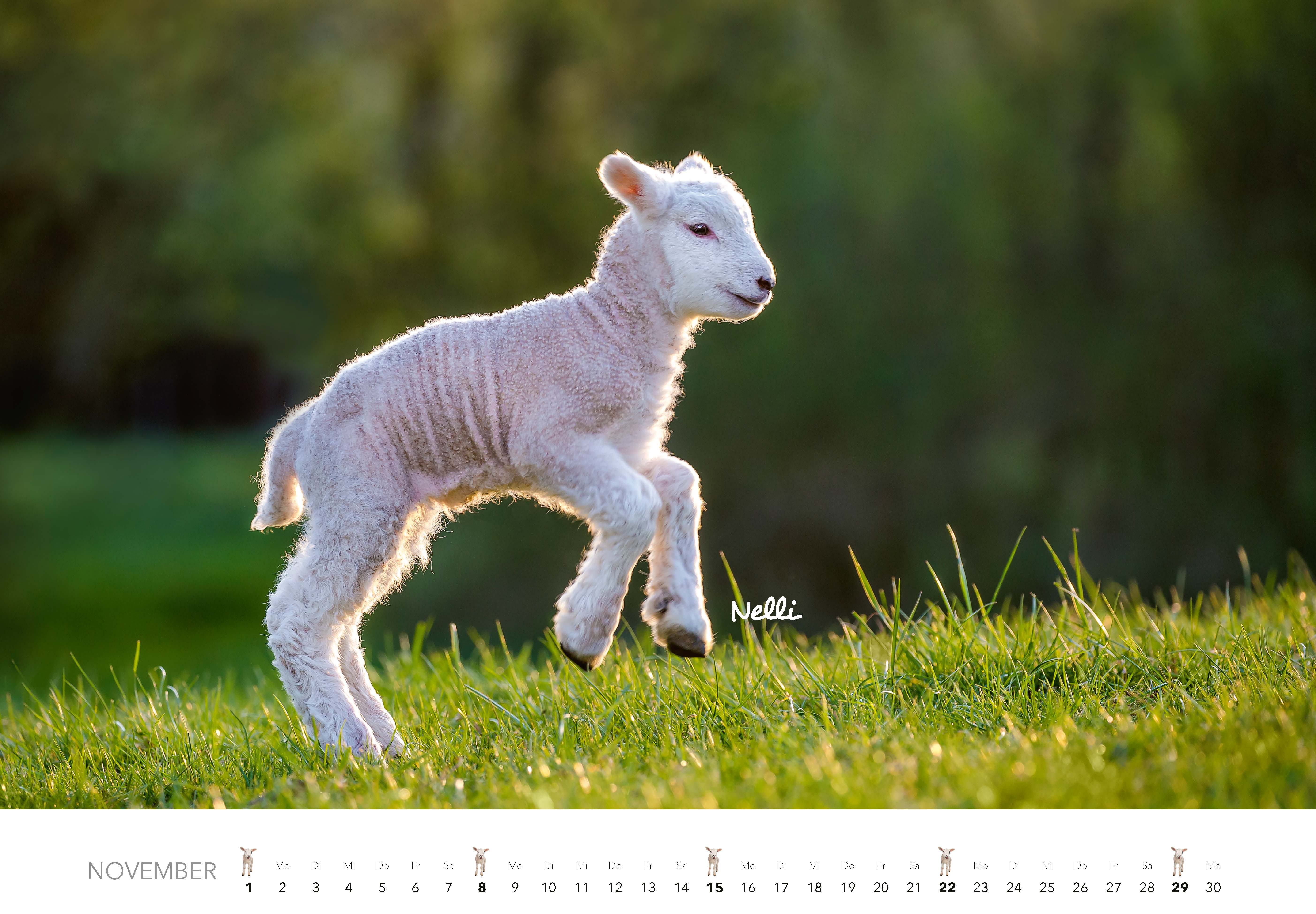 9783966649704_innenansicht_11 9783966649704_innenansicht_11.jpg