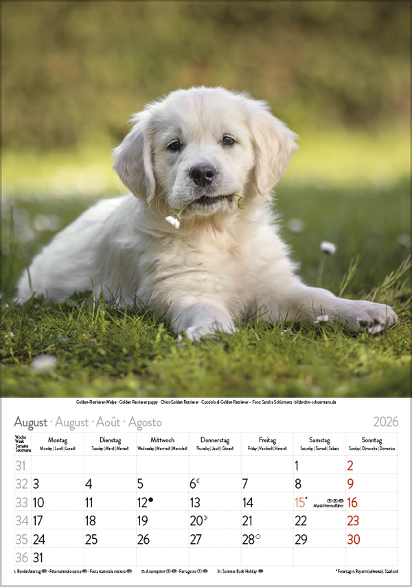 9783731883616_innenansicht_08 9783731883616_innenansicht_08.jpg