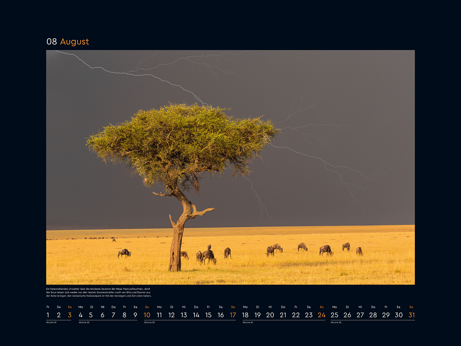 9783965913615_innenansicht_08 9783965913615_innenansicht_08.jpg