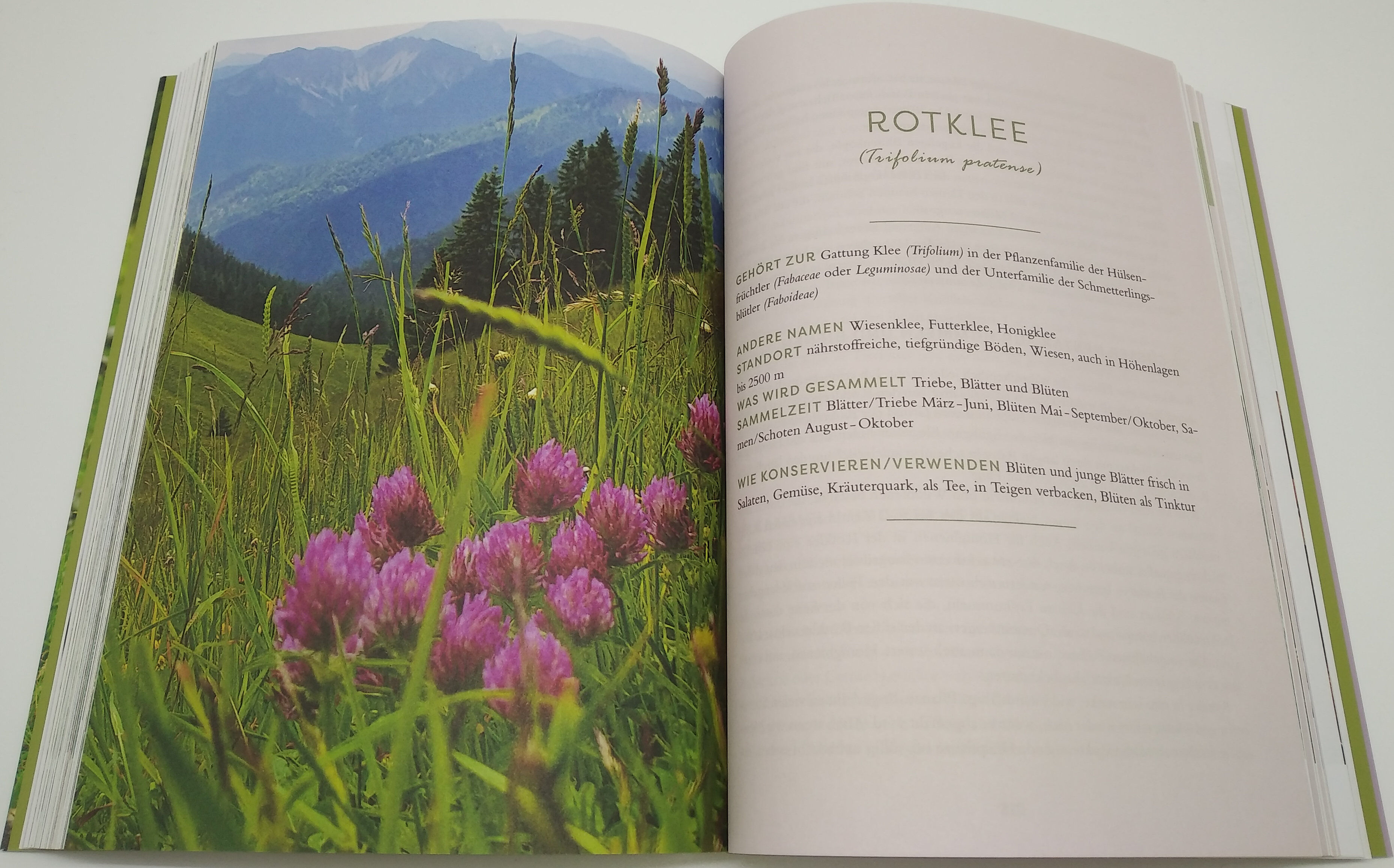 9783424632392_innenansicht_09 9783424632392_innenansicht_09.jpg