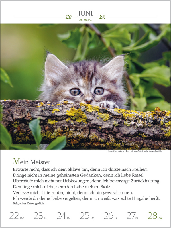 9783731884354_innenansicht_04.jpg