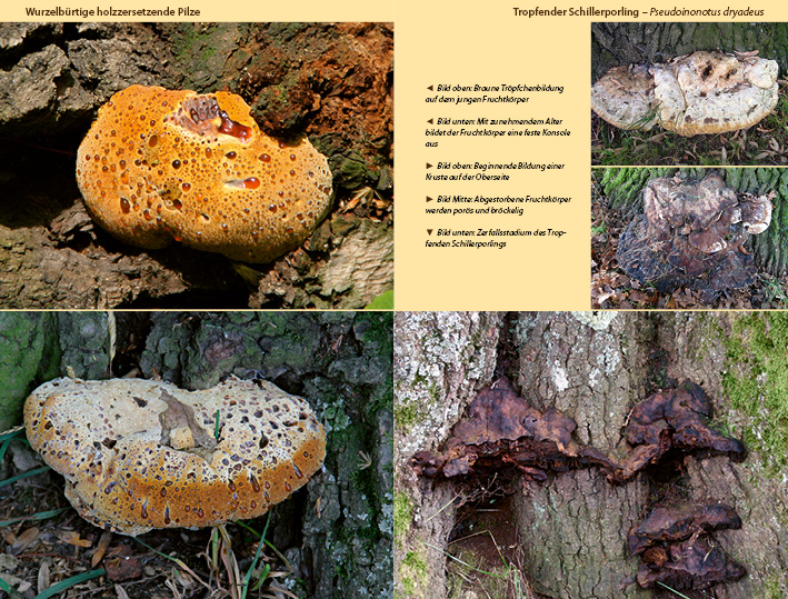 9783934947450_innenansicht_02 9783934947450_innenansicht_02.jpg