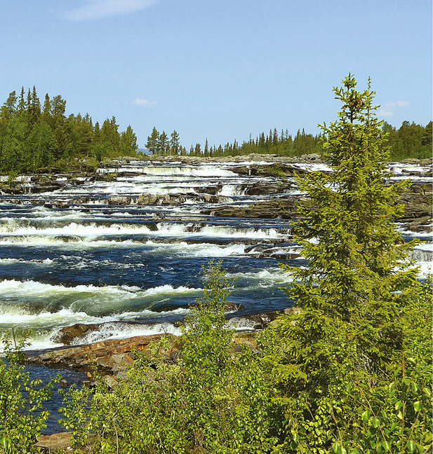 9783869035567_werbematerial_01 9783869035567_werbematerial_01.jpg