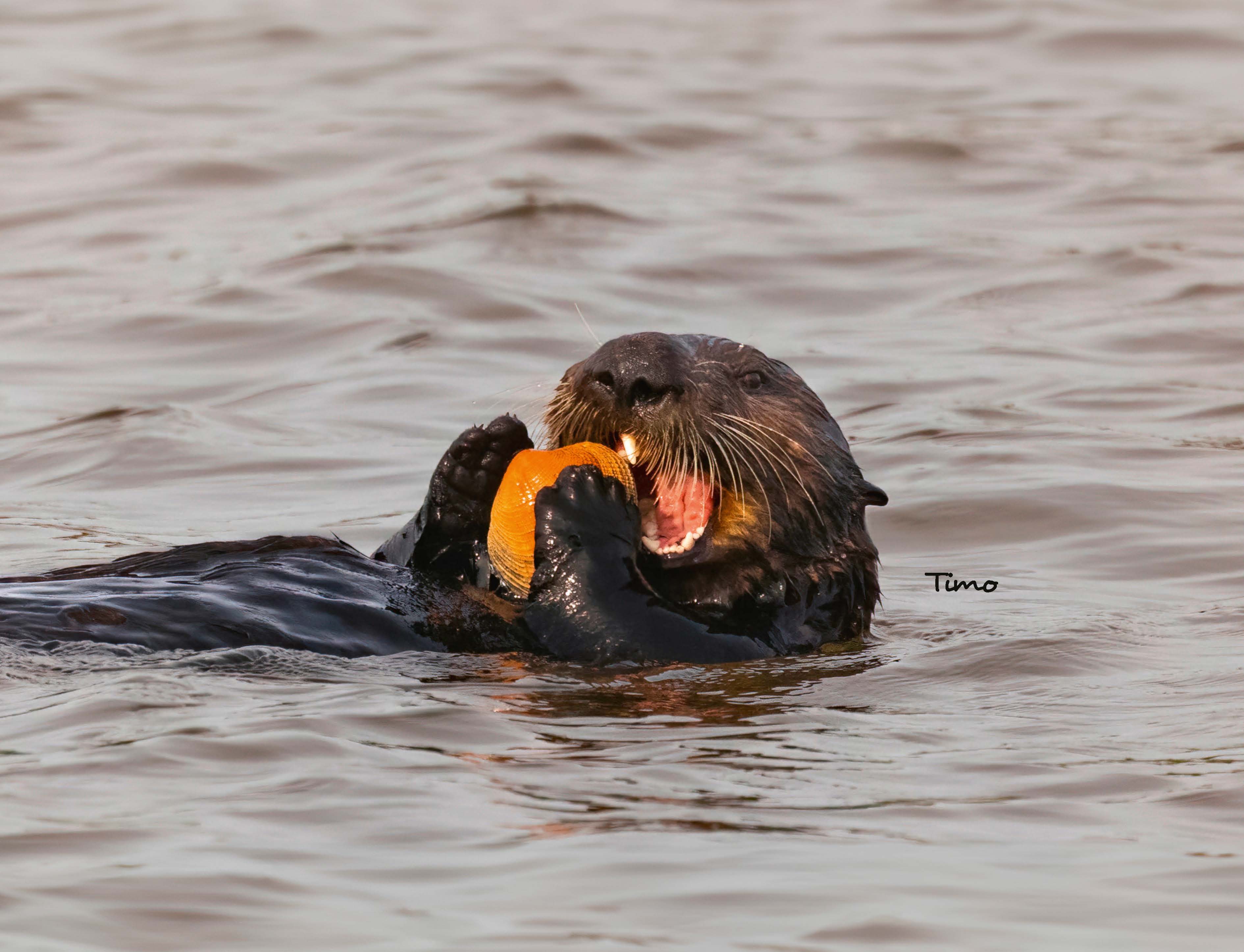 9783966649964_innenansicht_15 9783966649964_innenansicht_15.jpg