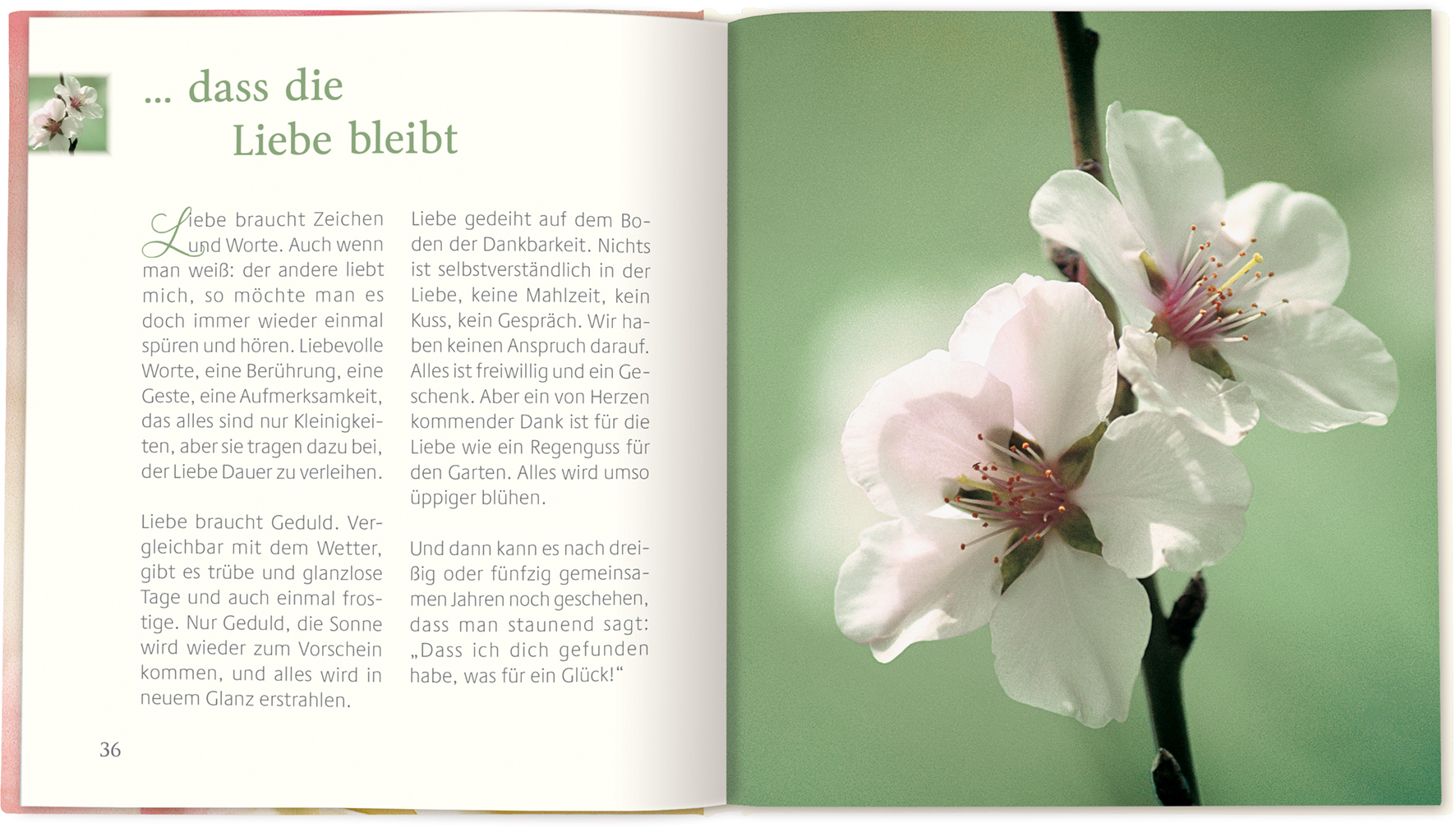 9783766629159_innenansicht_01.jpg