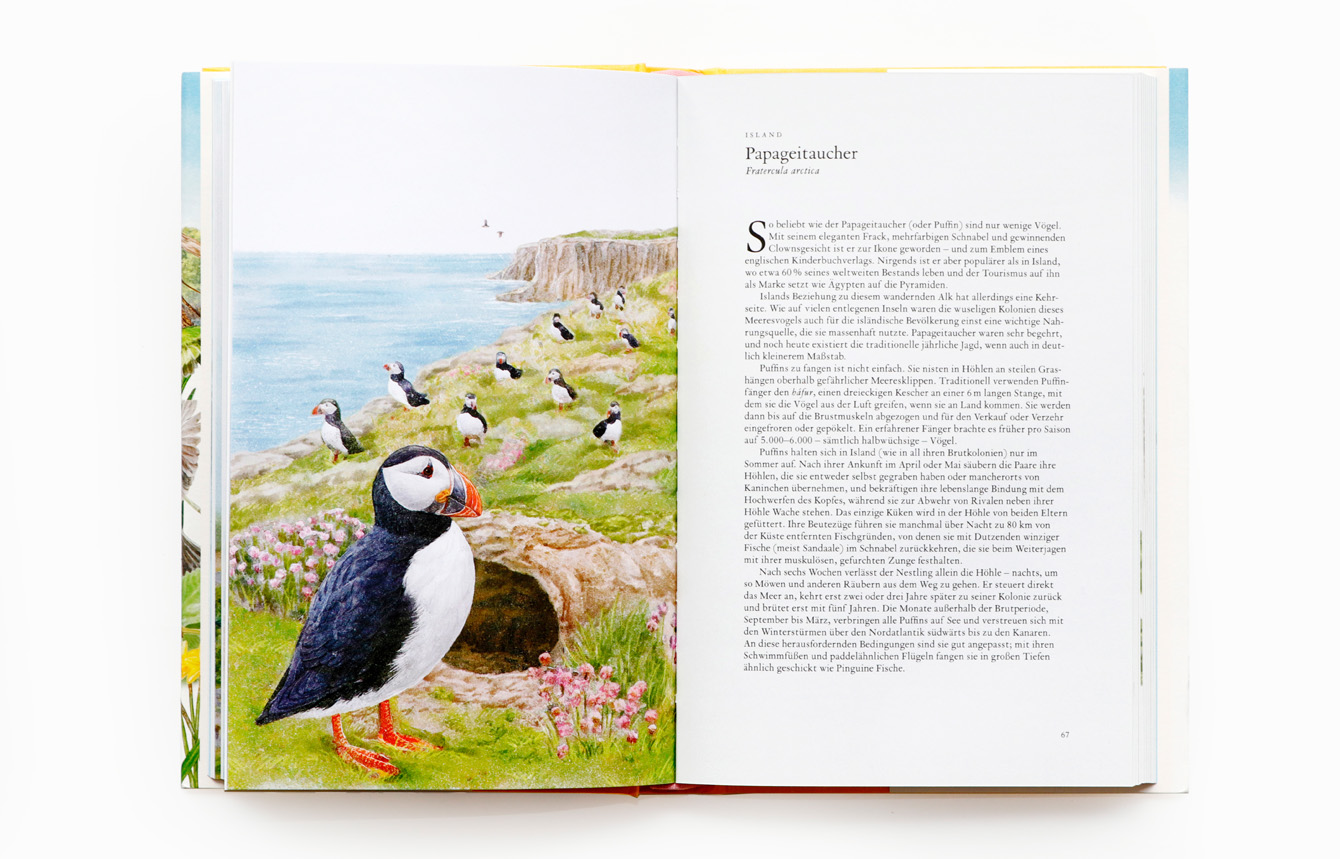 9783962442330_innenansicht_05 9783962442330_innenansicht_05.jpg