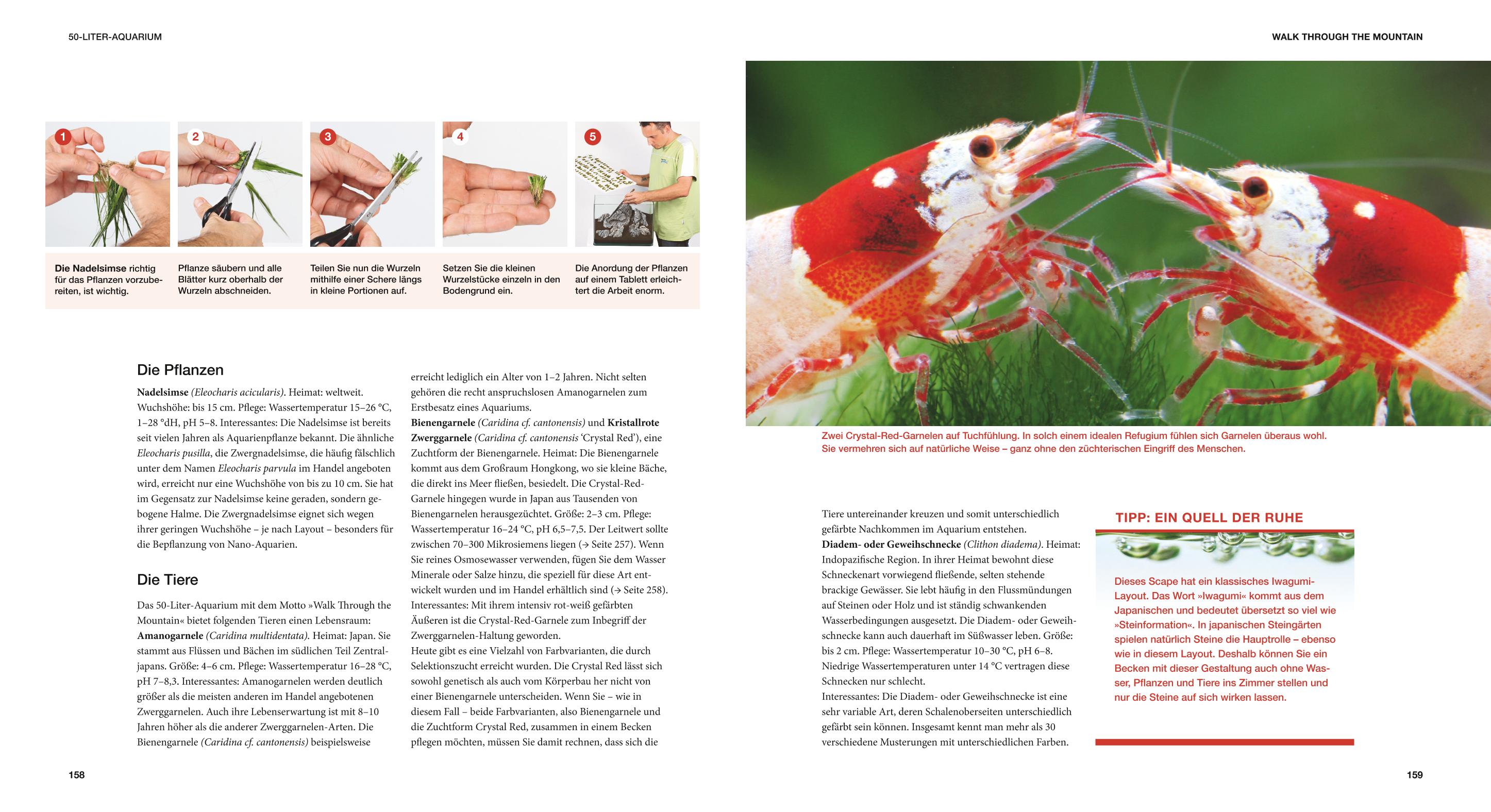 9783833824111_innenansicht_08 9783833824111_innenansicht_08.jpg