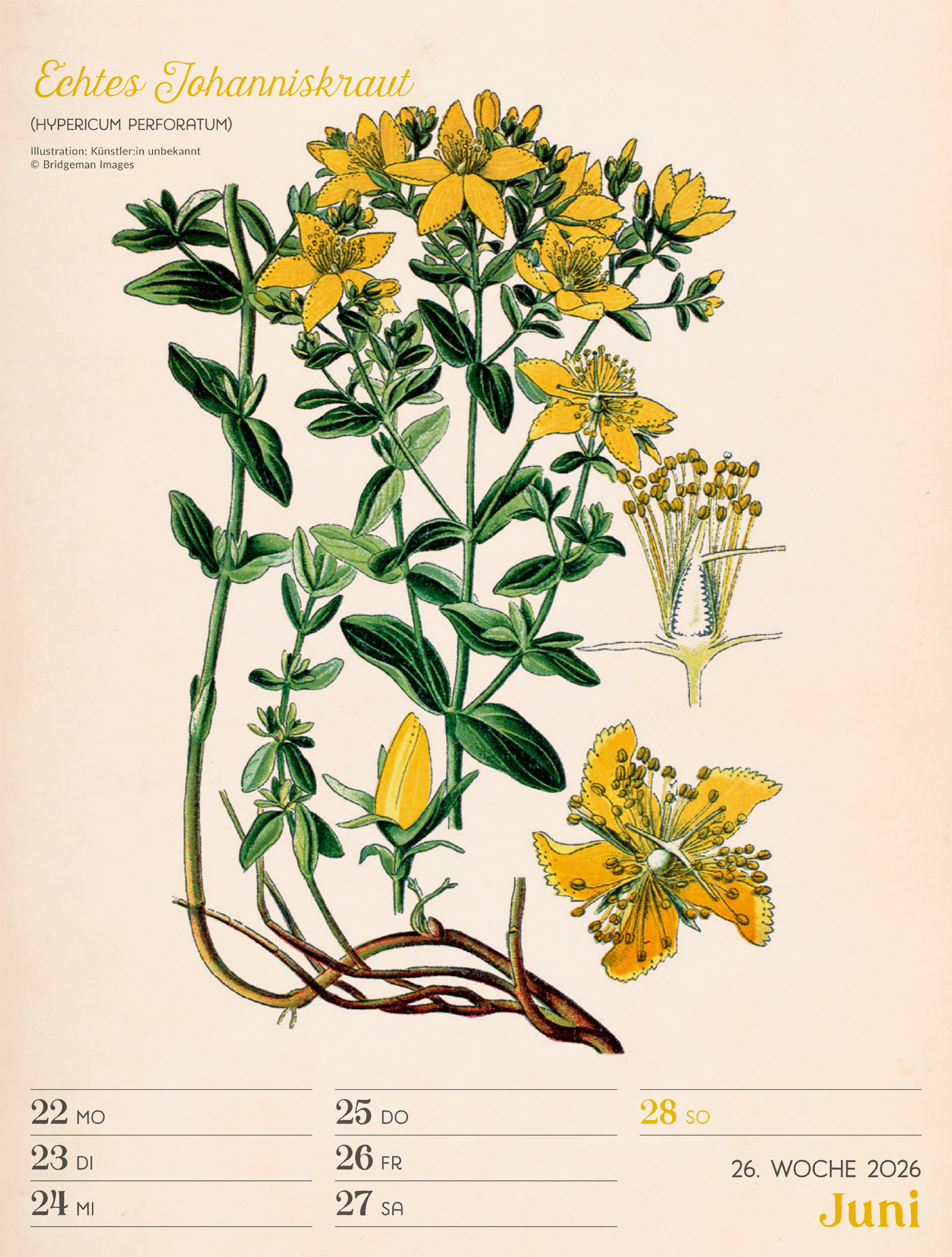 9783838436128_innenansicht_29 9783838436128_innenansicht_29.jpg