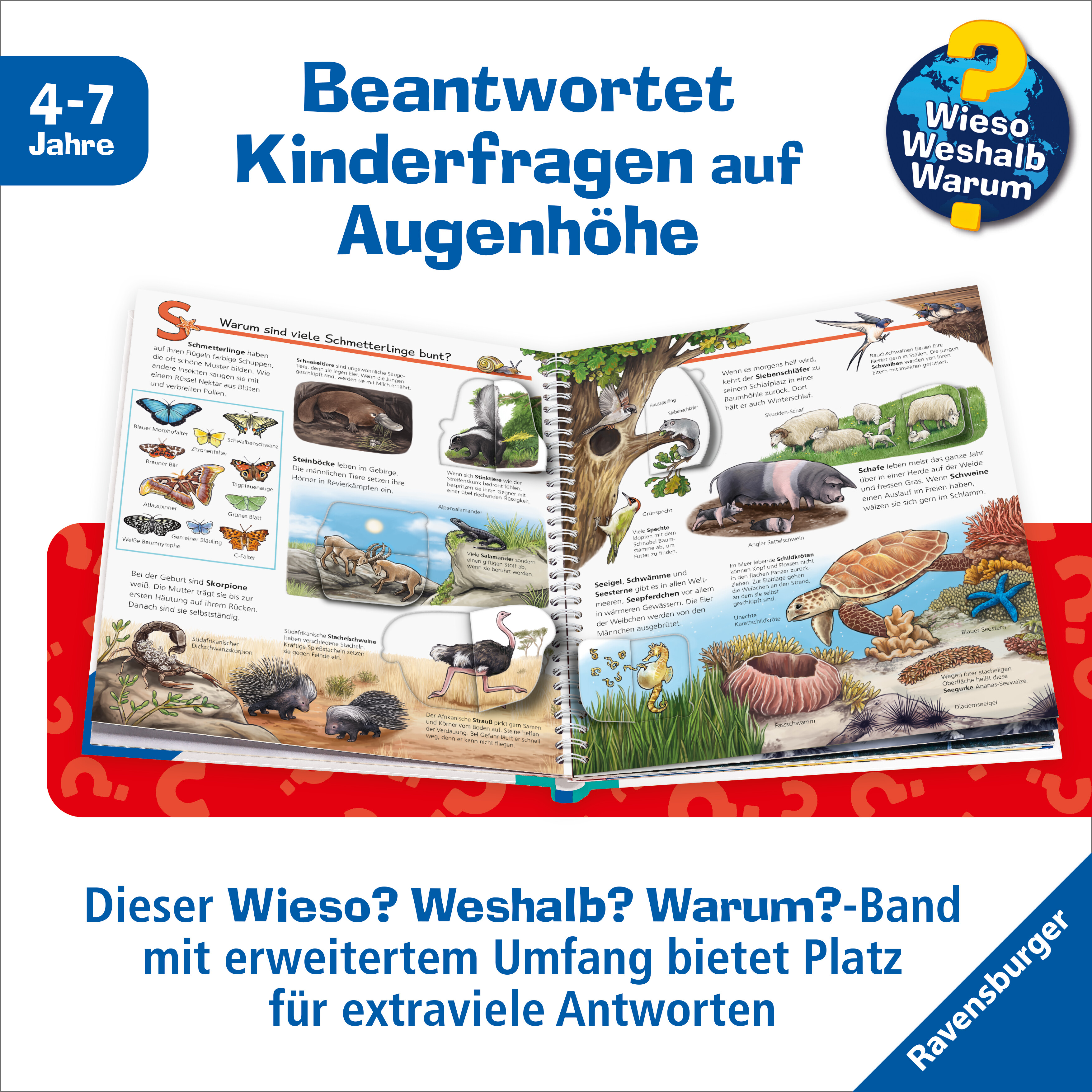 9783473600779_innenansicht_02.jpg