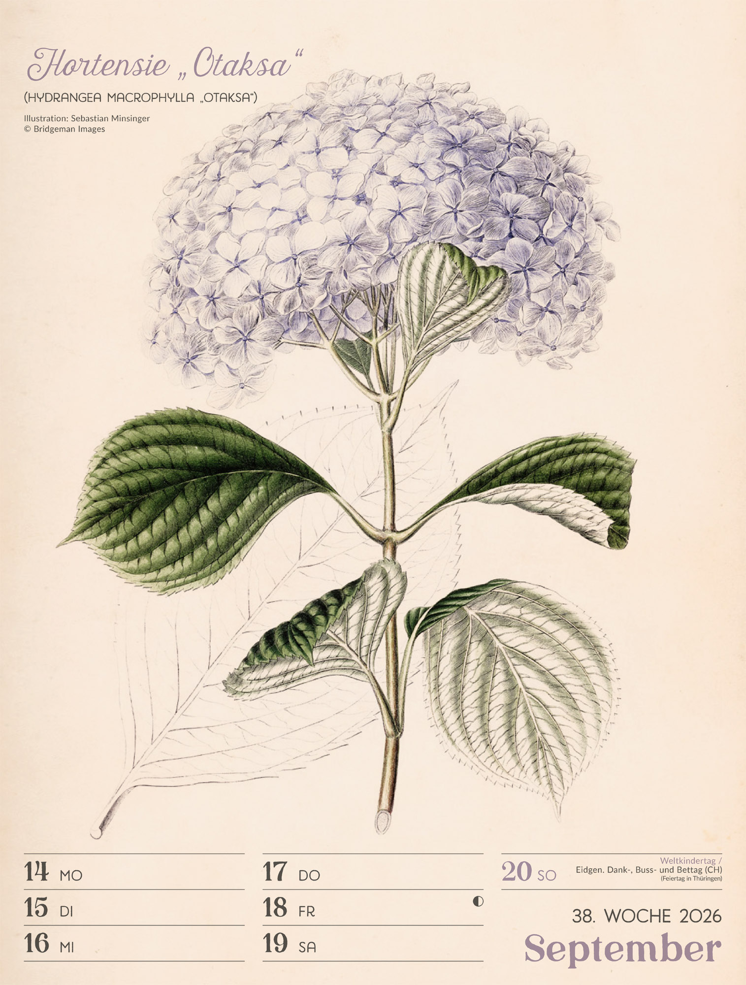 9783838436128_innenansicht_41 9783838436128_innenansicht_41.jpg