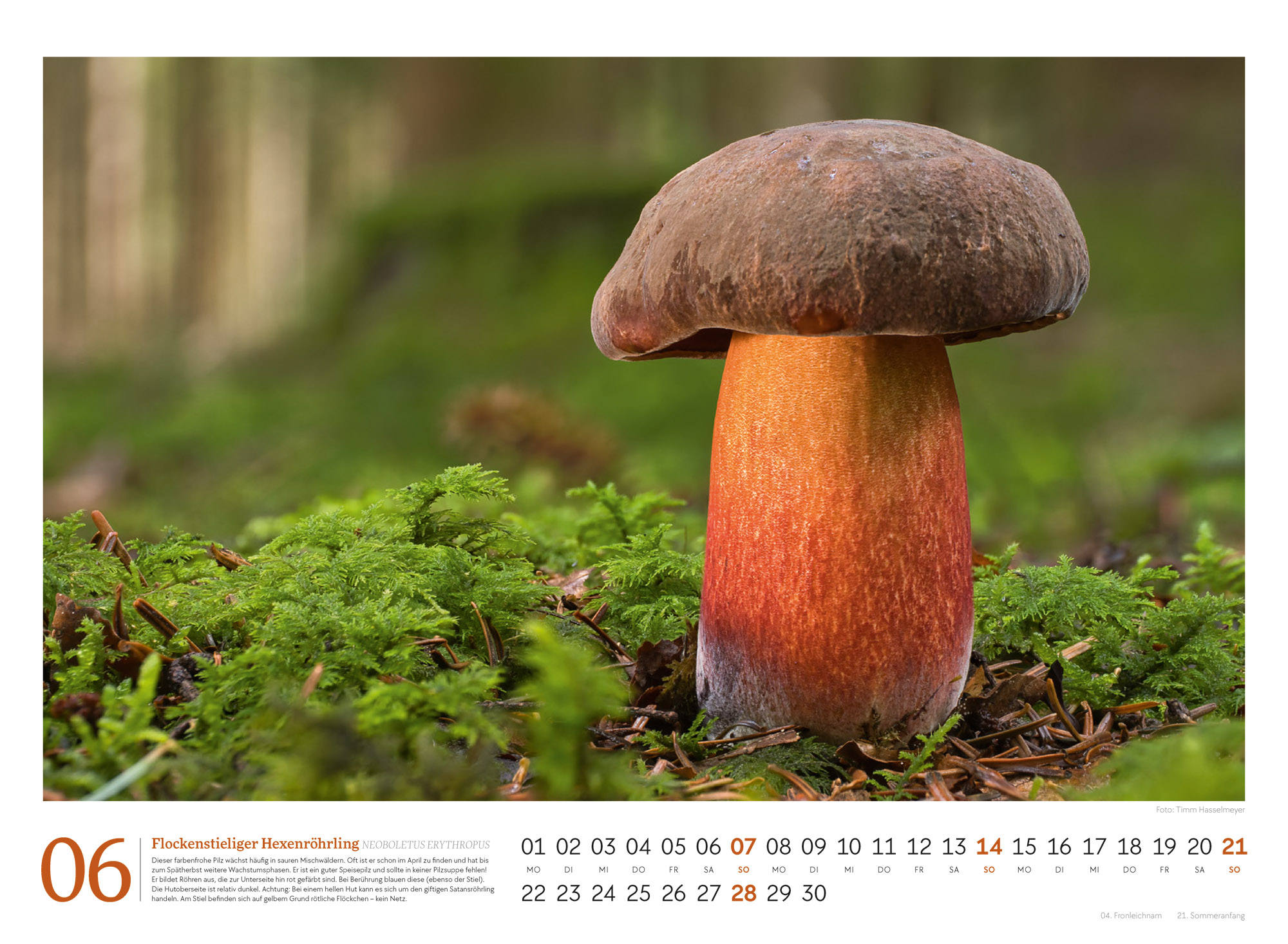 9783838436333_innenansicht_06 9783838436333_innenansicht_06.jpg