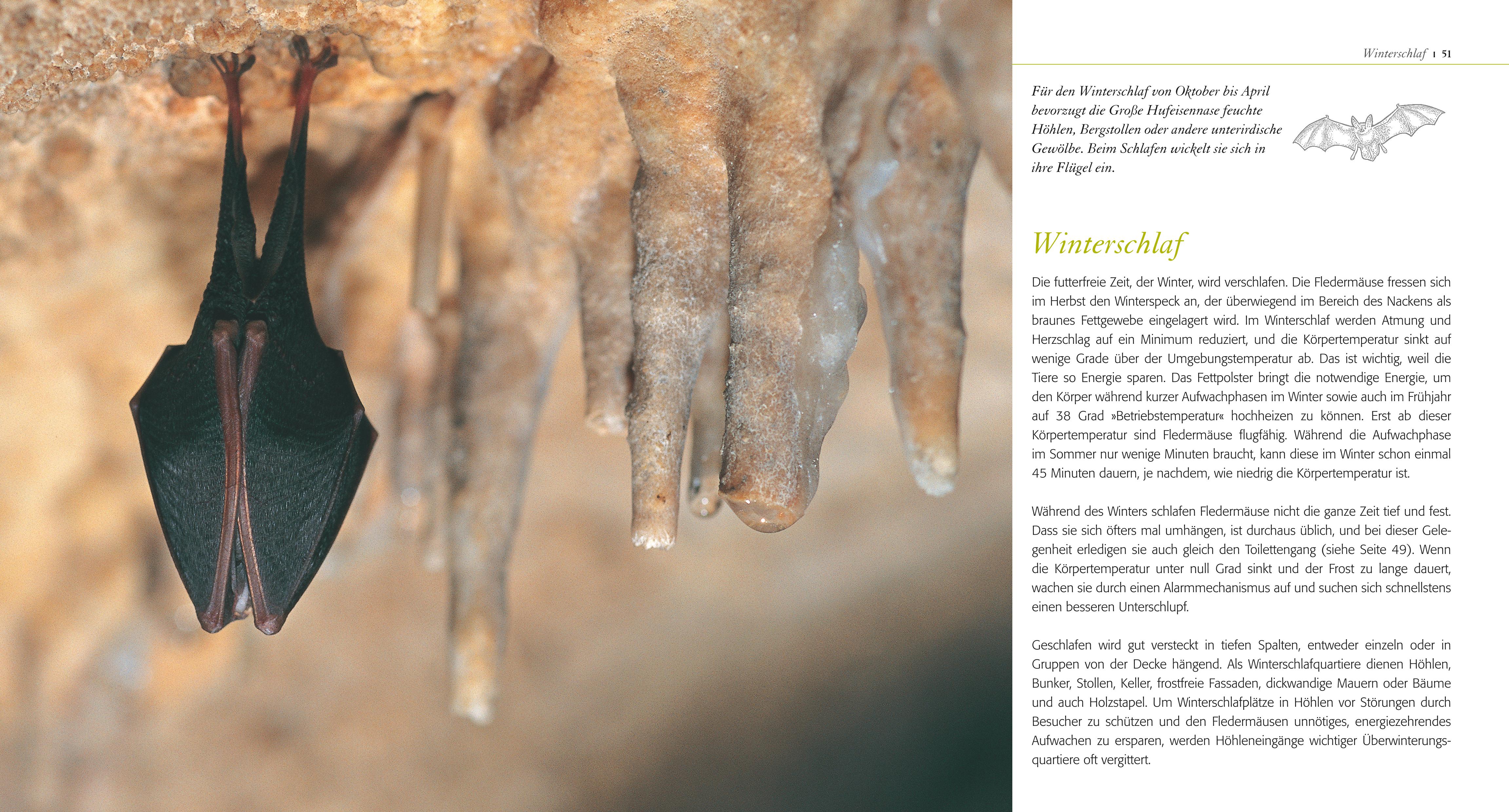 9783835419032_innenansicht_05 9783835419032_innenansicht_05.jpg