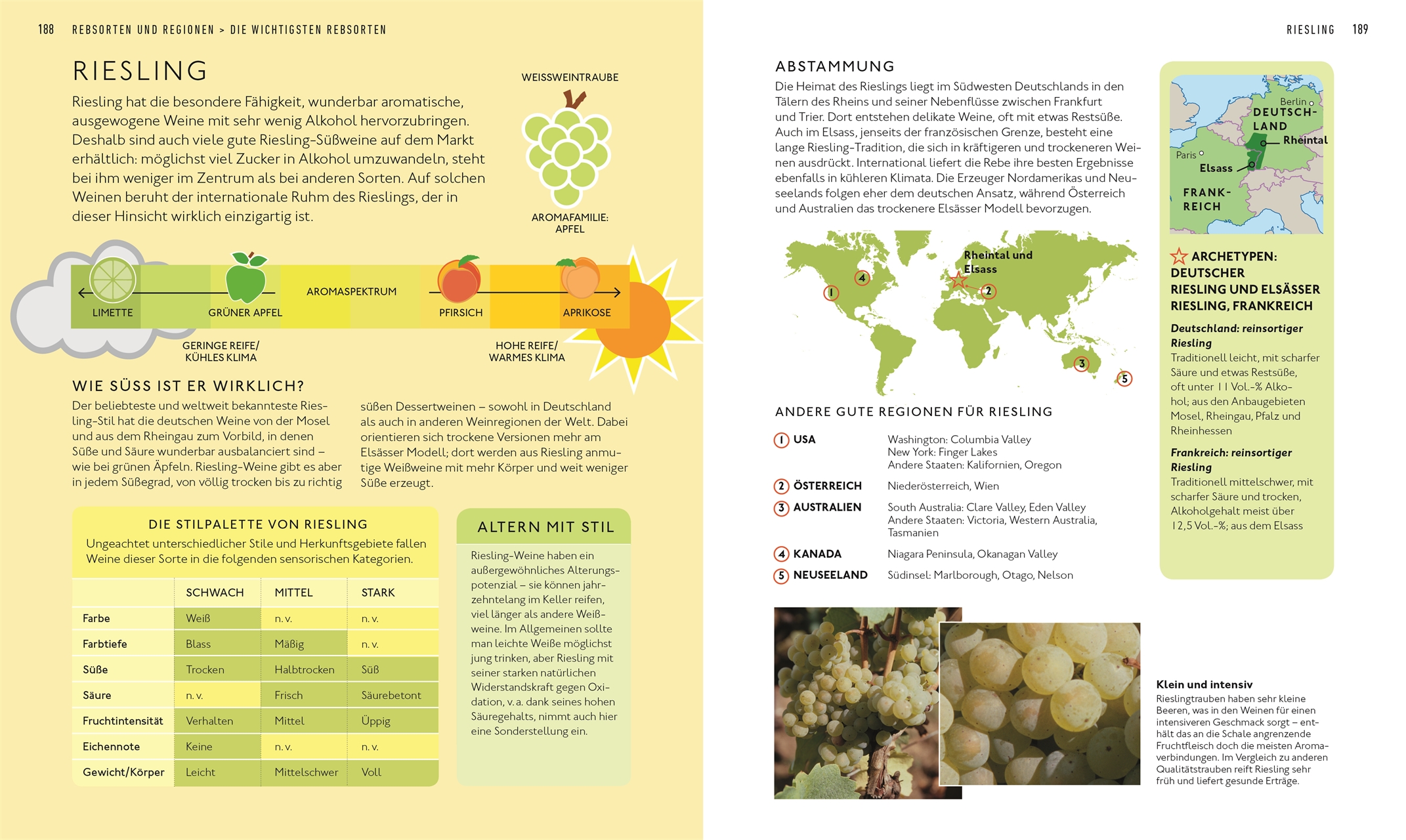 9783831040100_innenansicht_07 9783831040100_innenansicht_07.jpg