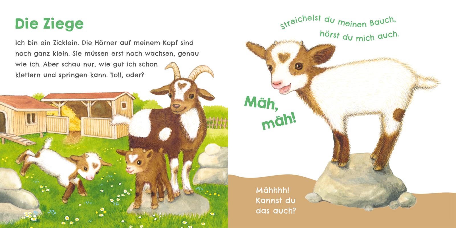 9783551254030_innenansicht_07.jpg
