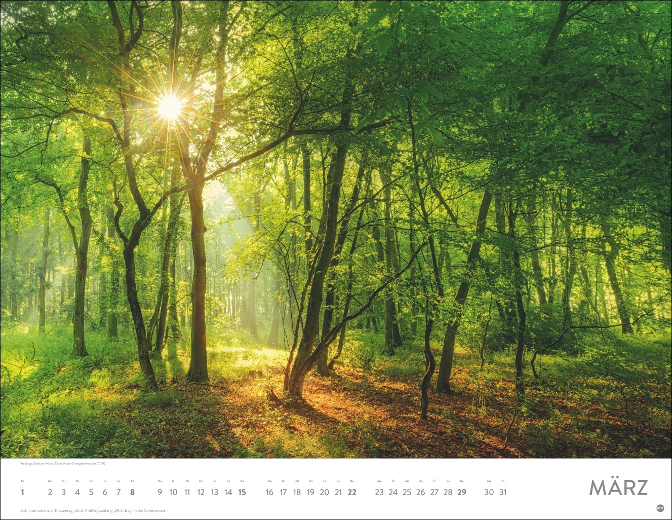 9783756413959_innenansicht_03 9783756413959_innenansicht_03.jpg