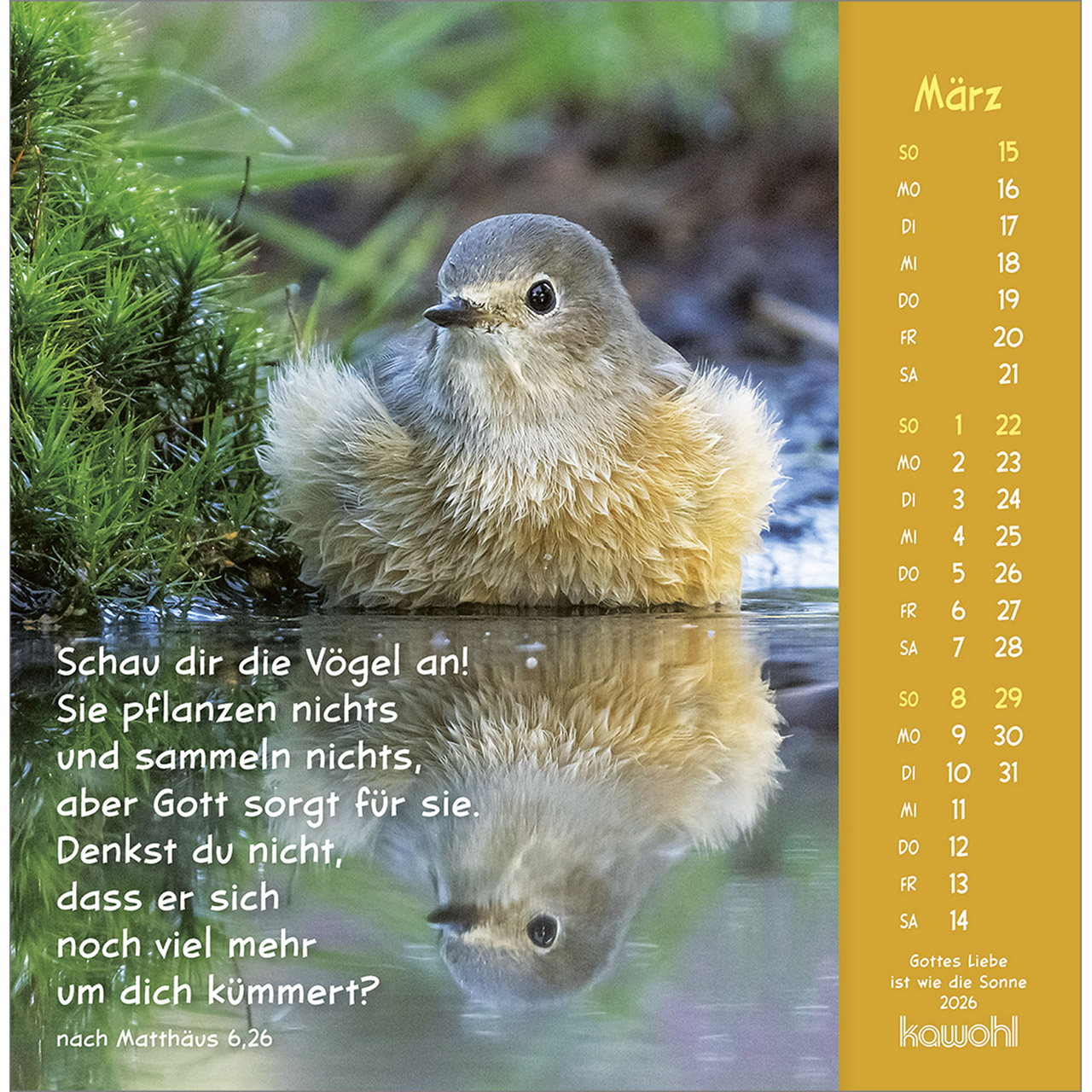 9783754848067_innenansicht_03.jpg