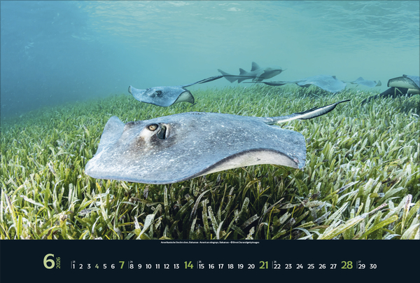 9783731888161_innenansicht_06 9783731888161_innenansicht_06.jpg