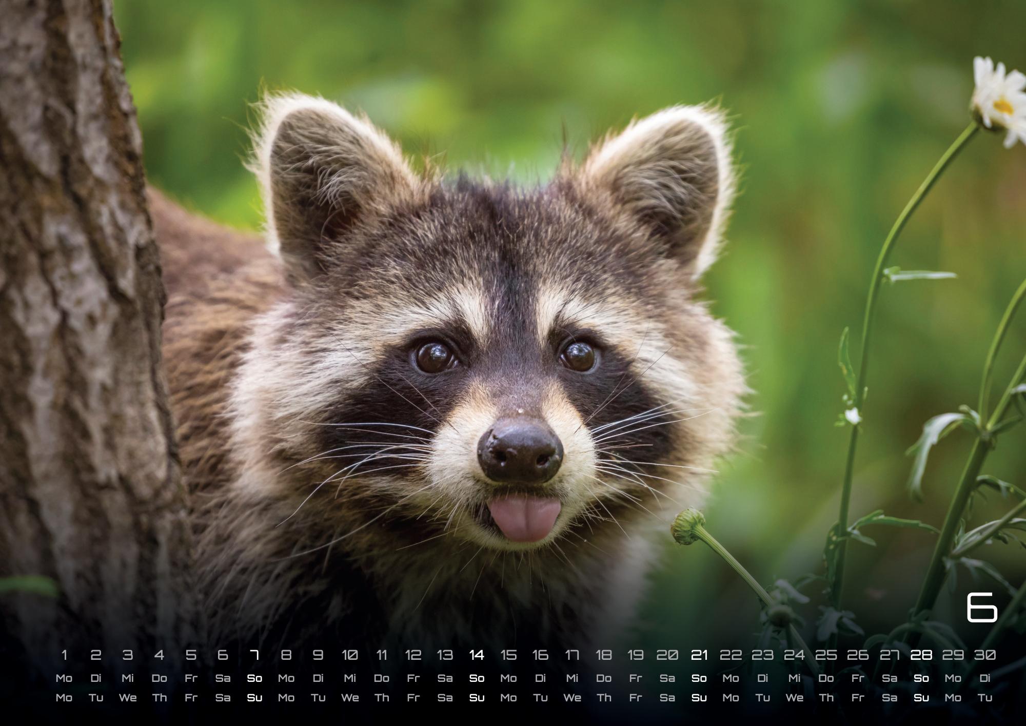 9783986736033_innenansicht_06 9783986736033_innenansicht_06.jpg