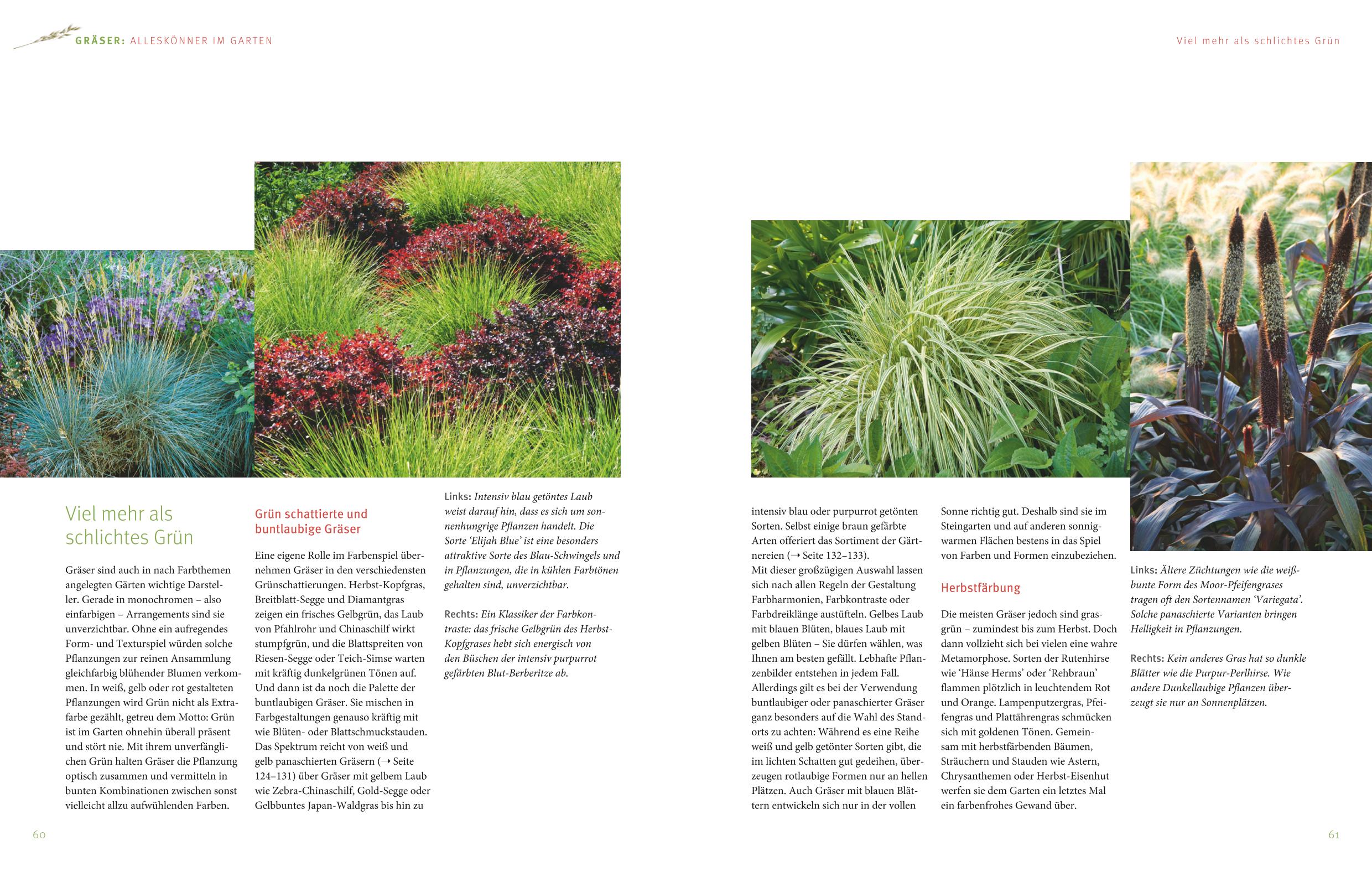 9783833827778_innenansicht_05 9783833827778_innenansicht_05.jpg