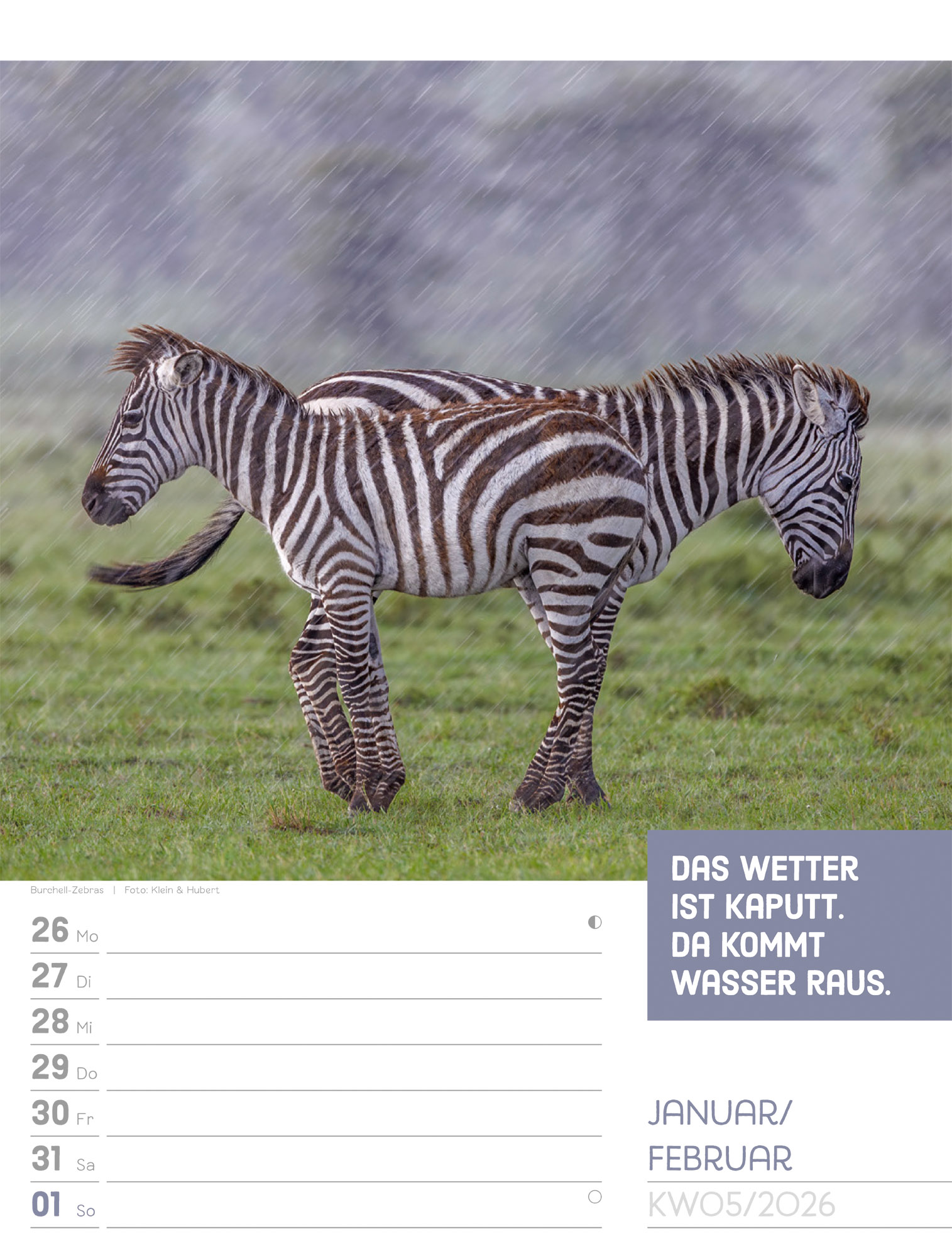 9783838426969_innenansicht_08 9783838426969_innenansicht_08.jpg