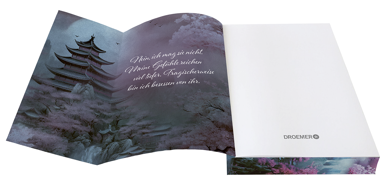 9783426284391_innenansicht_04.png