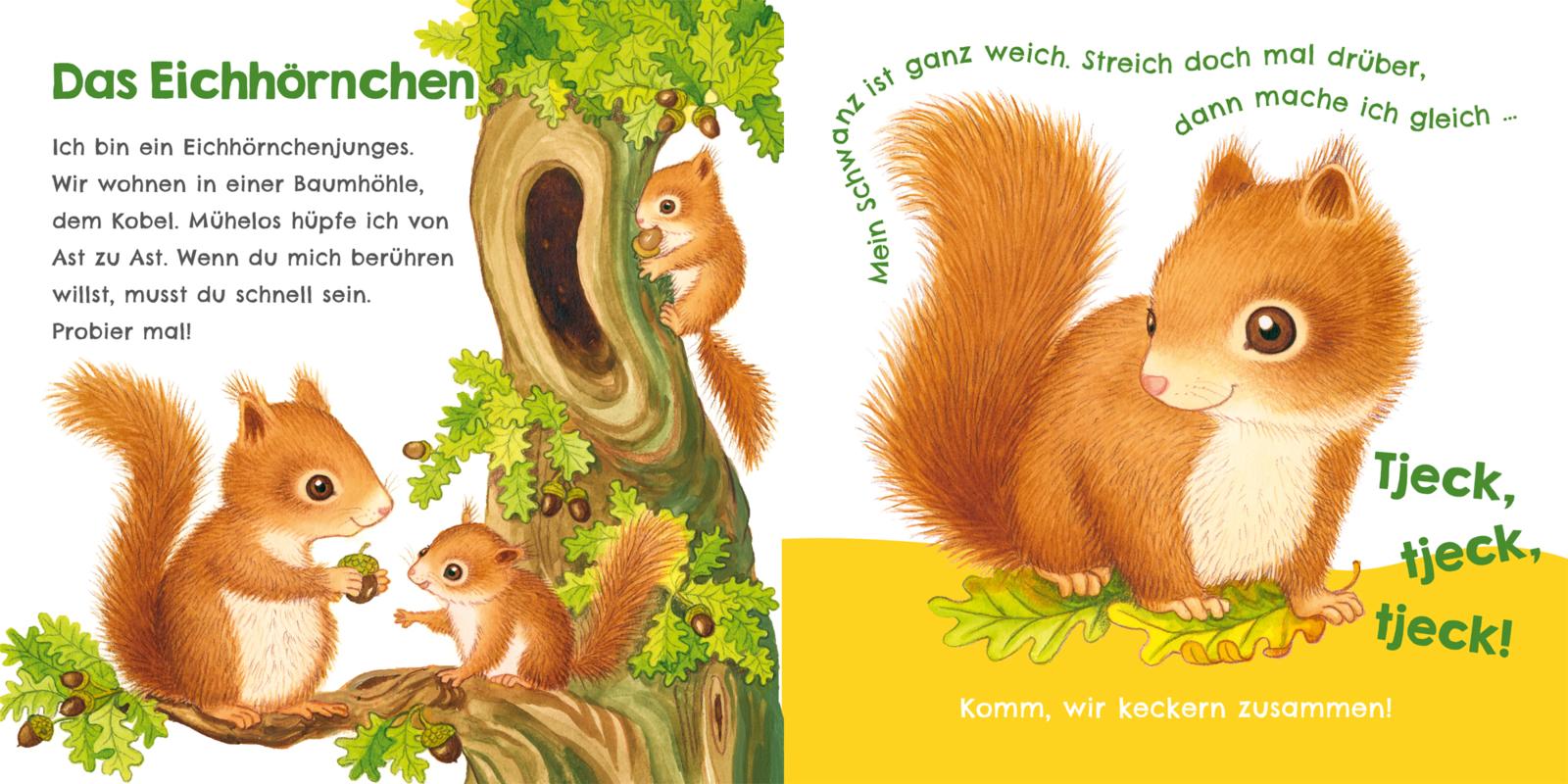 9783551254023_innenansicht_05.jpg
