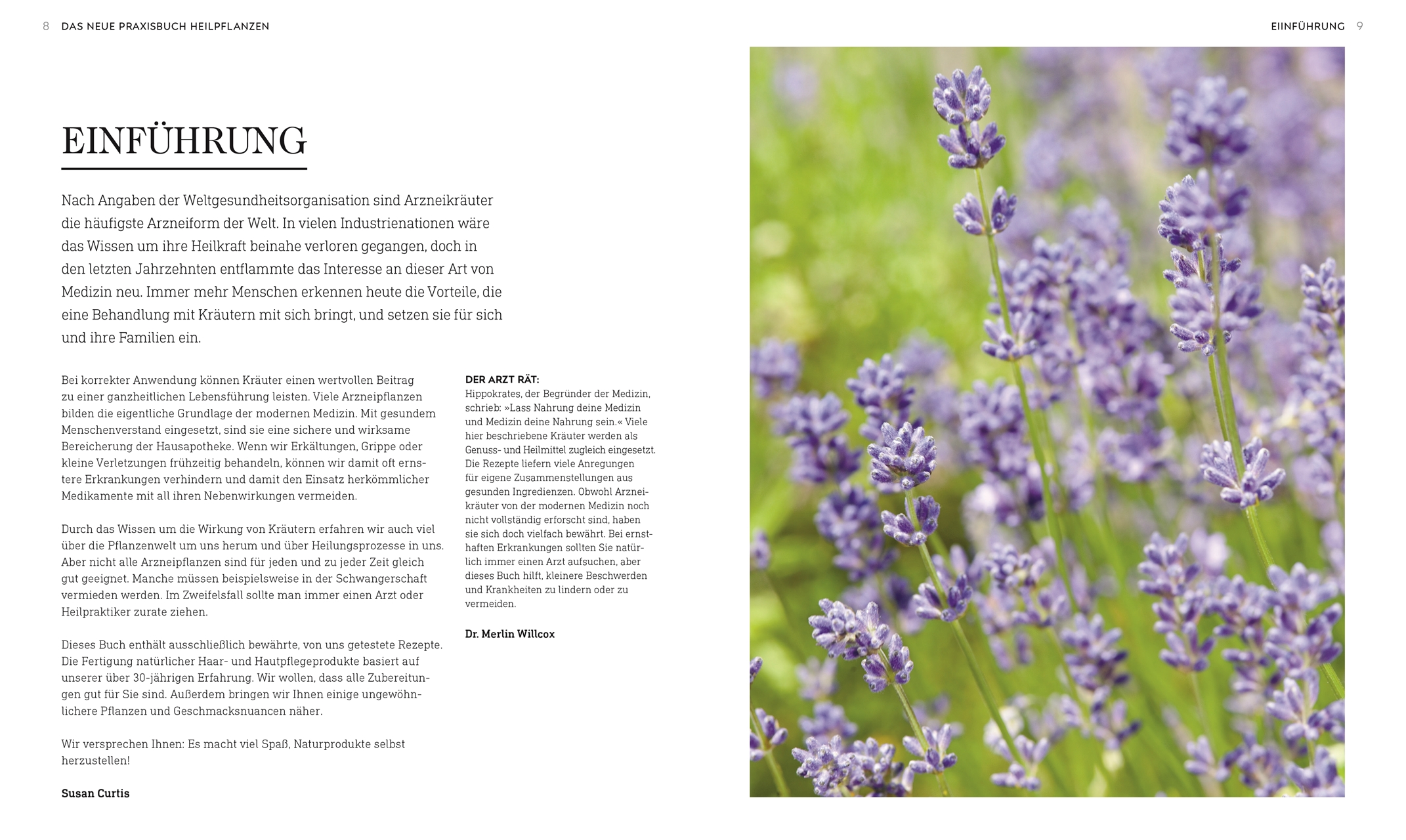 9783831041602_innenansicht_03 9783831041602_innenansicht_03.jpg