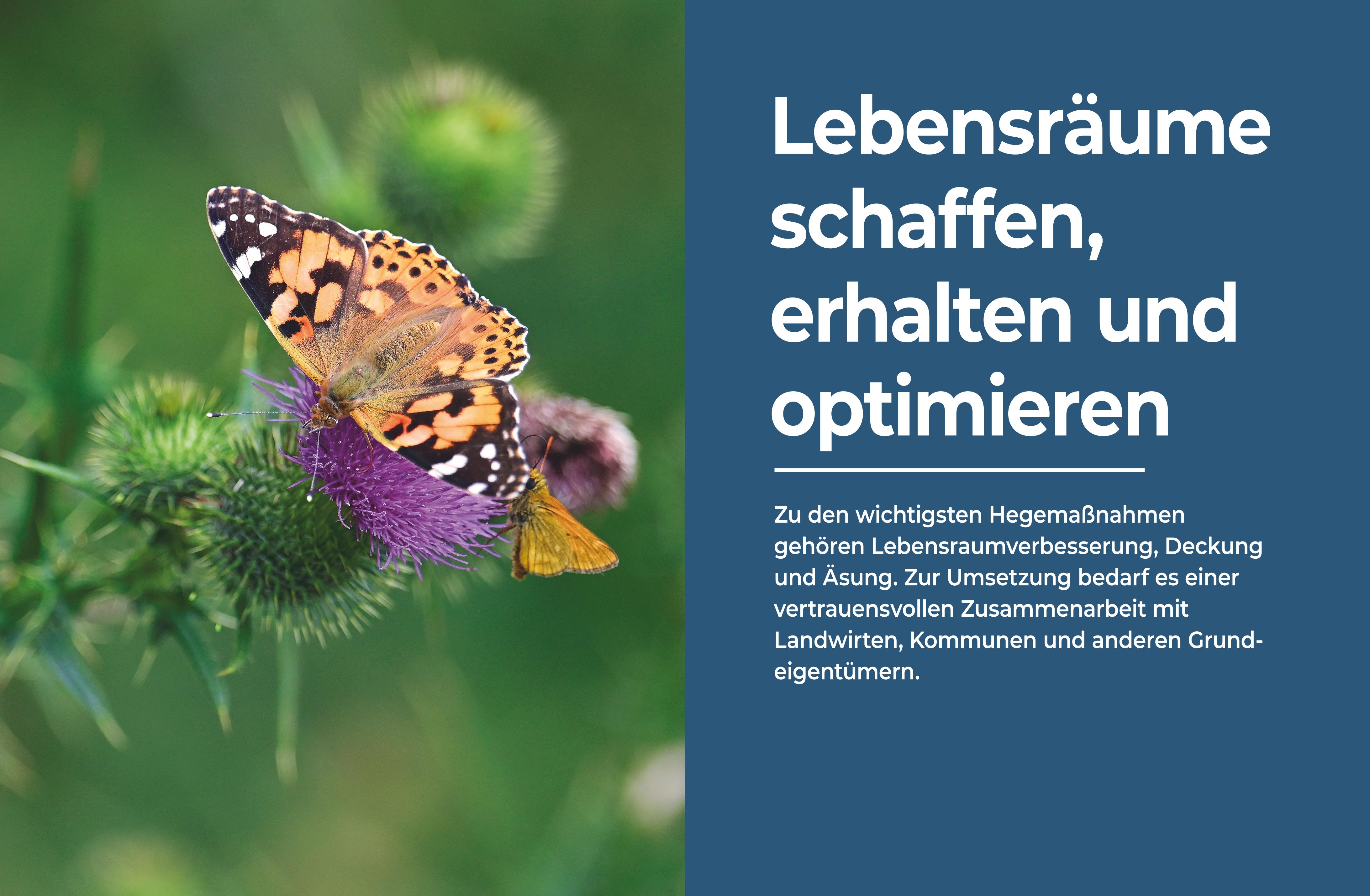 9783967471427_innenansicht_03.jpg